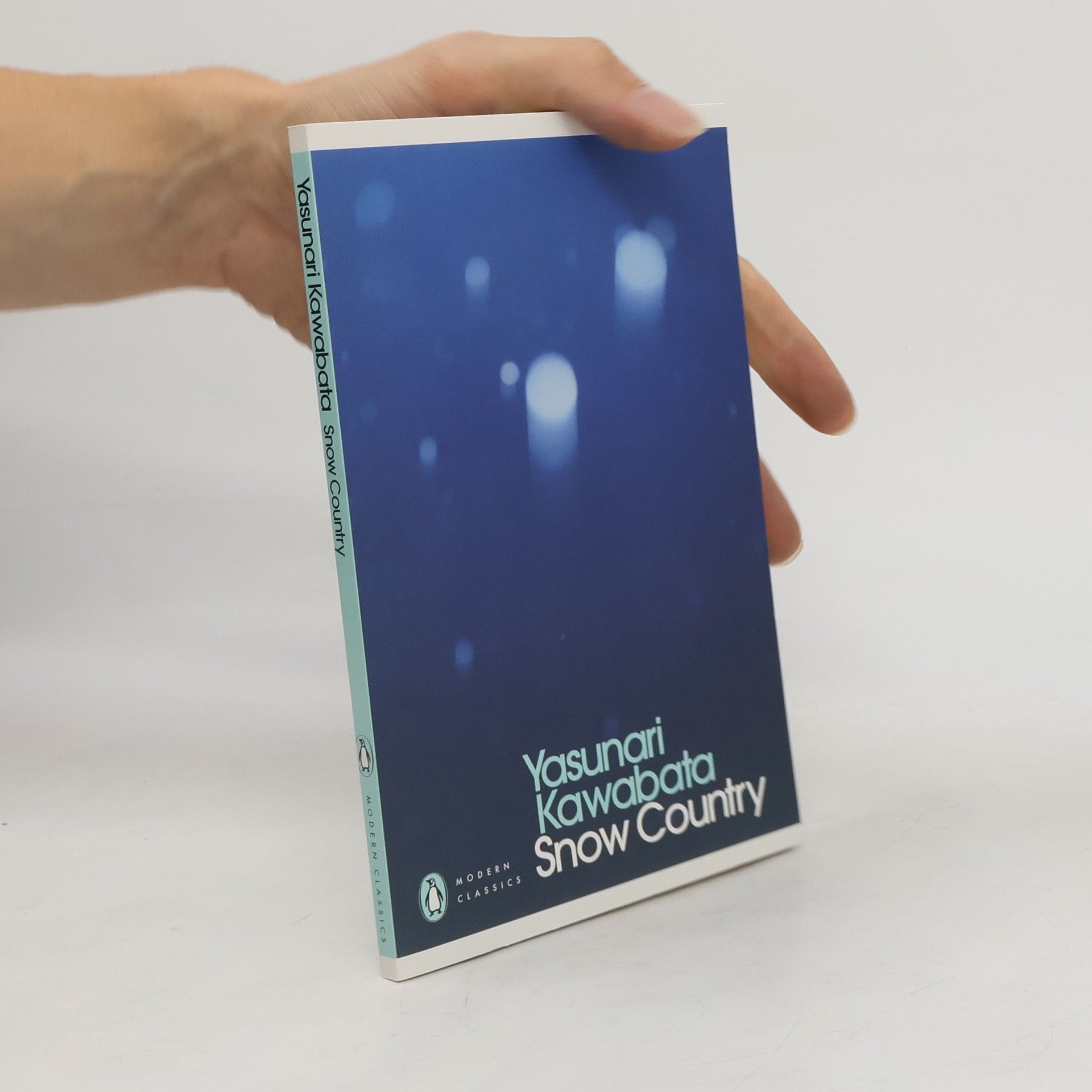 Jasunari Kawabata Snow Country