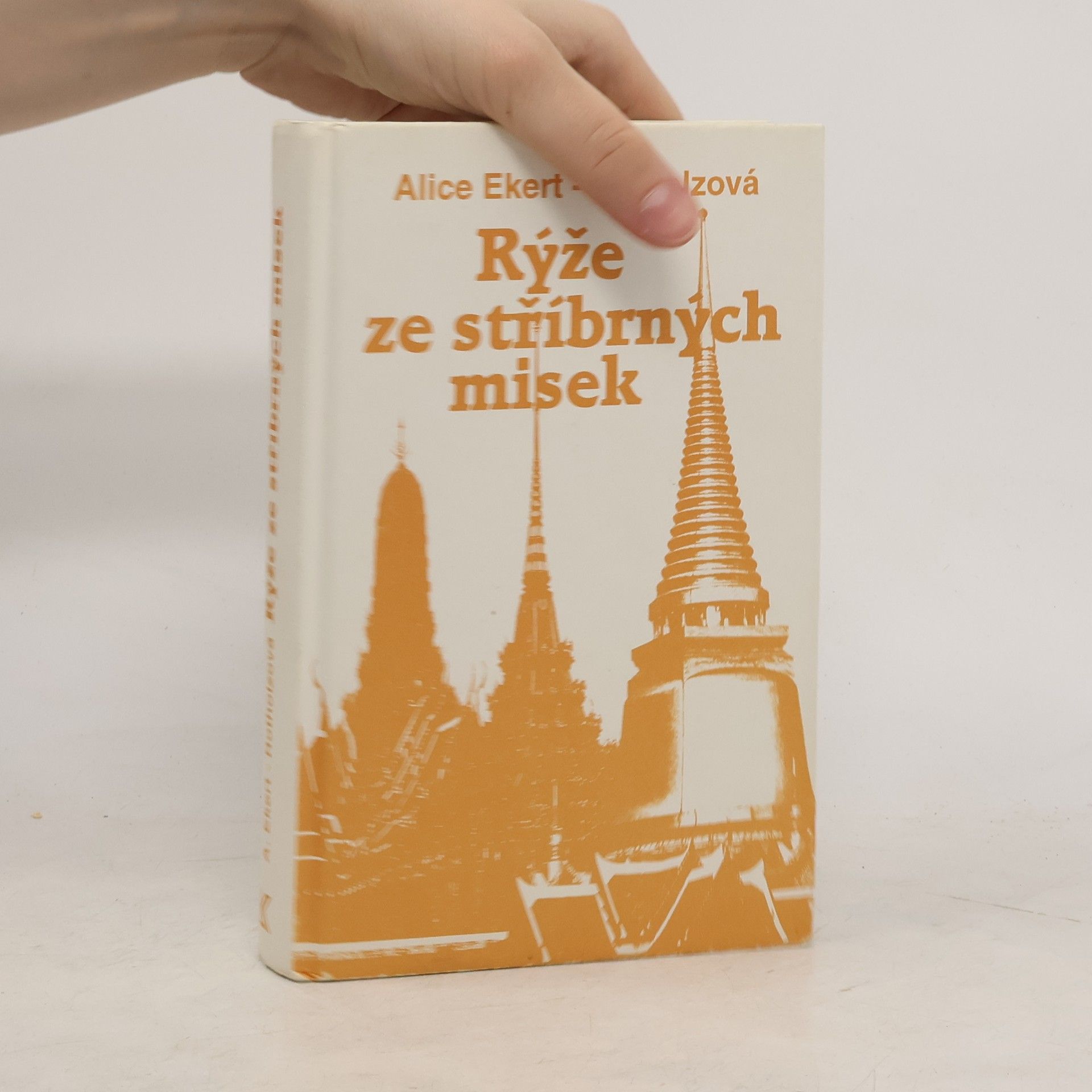 Alice Ekert-Rotholz Rýže ze stříbrných misek