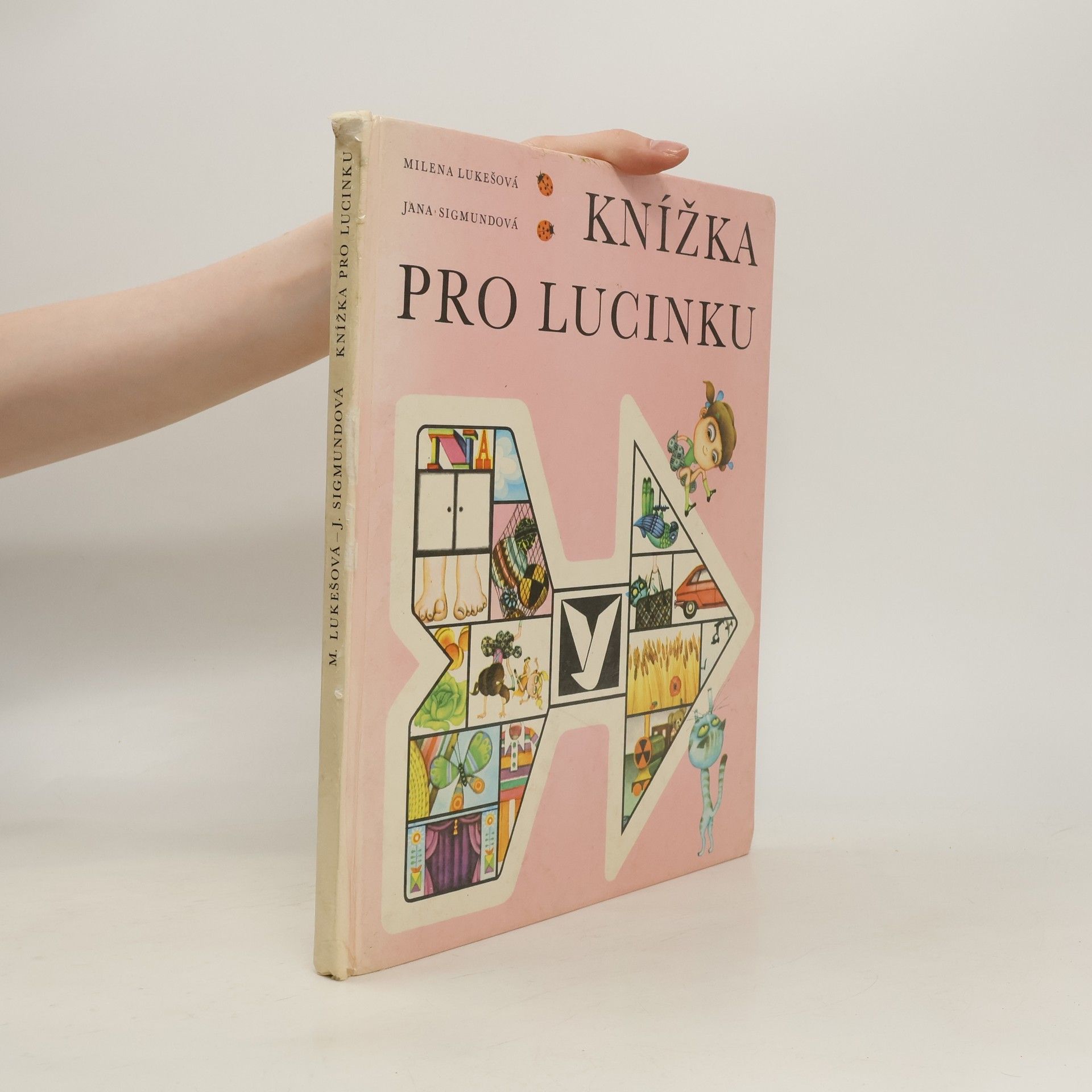 Jana Sigmundová Knížka pro Lucinku