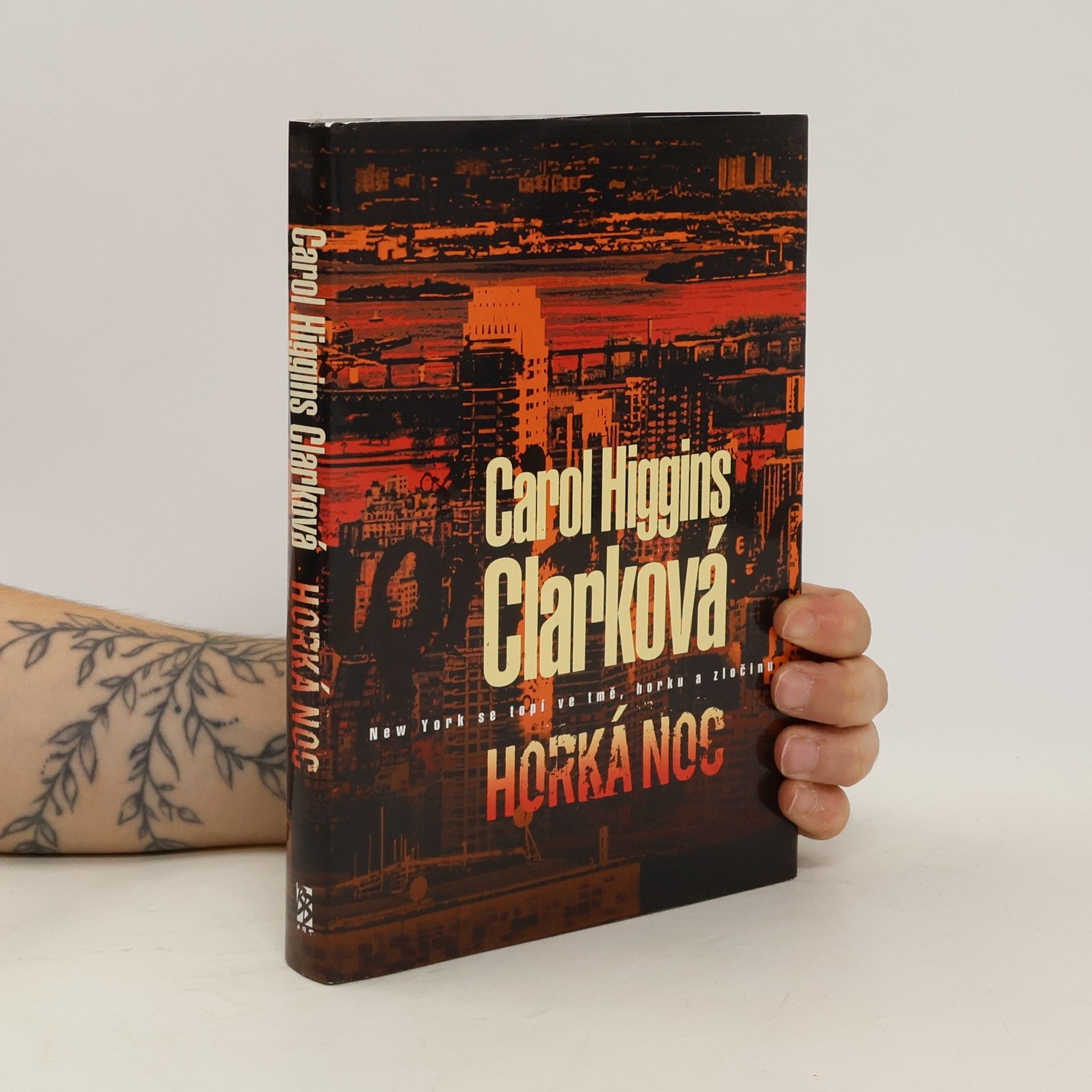 Carol Higgins Clark Horká noc