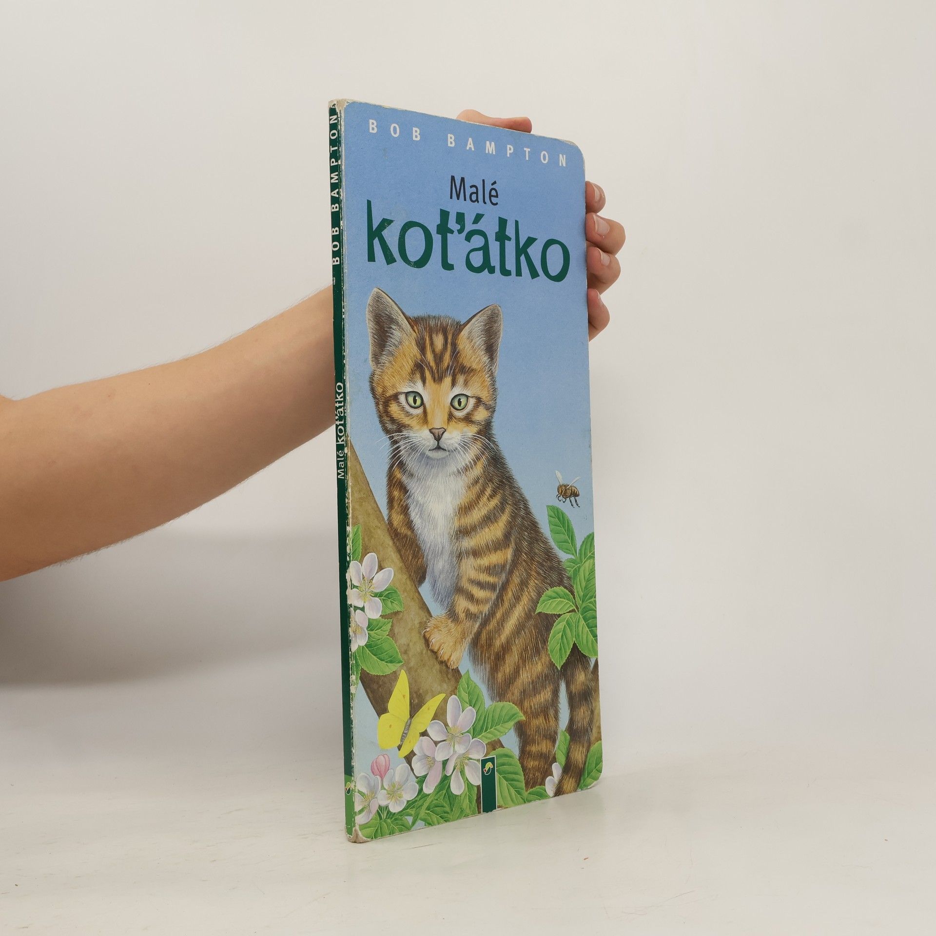 Bob Bampton Malé koťátko