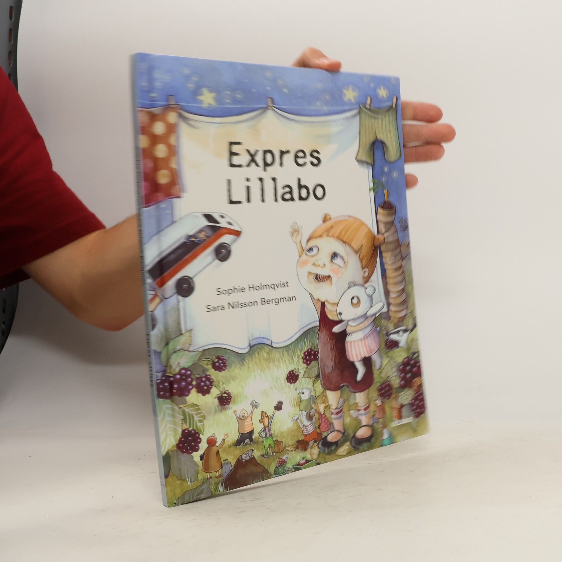 Sara Nilsson Bergman Expres Lillabo