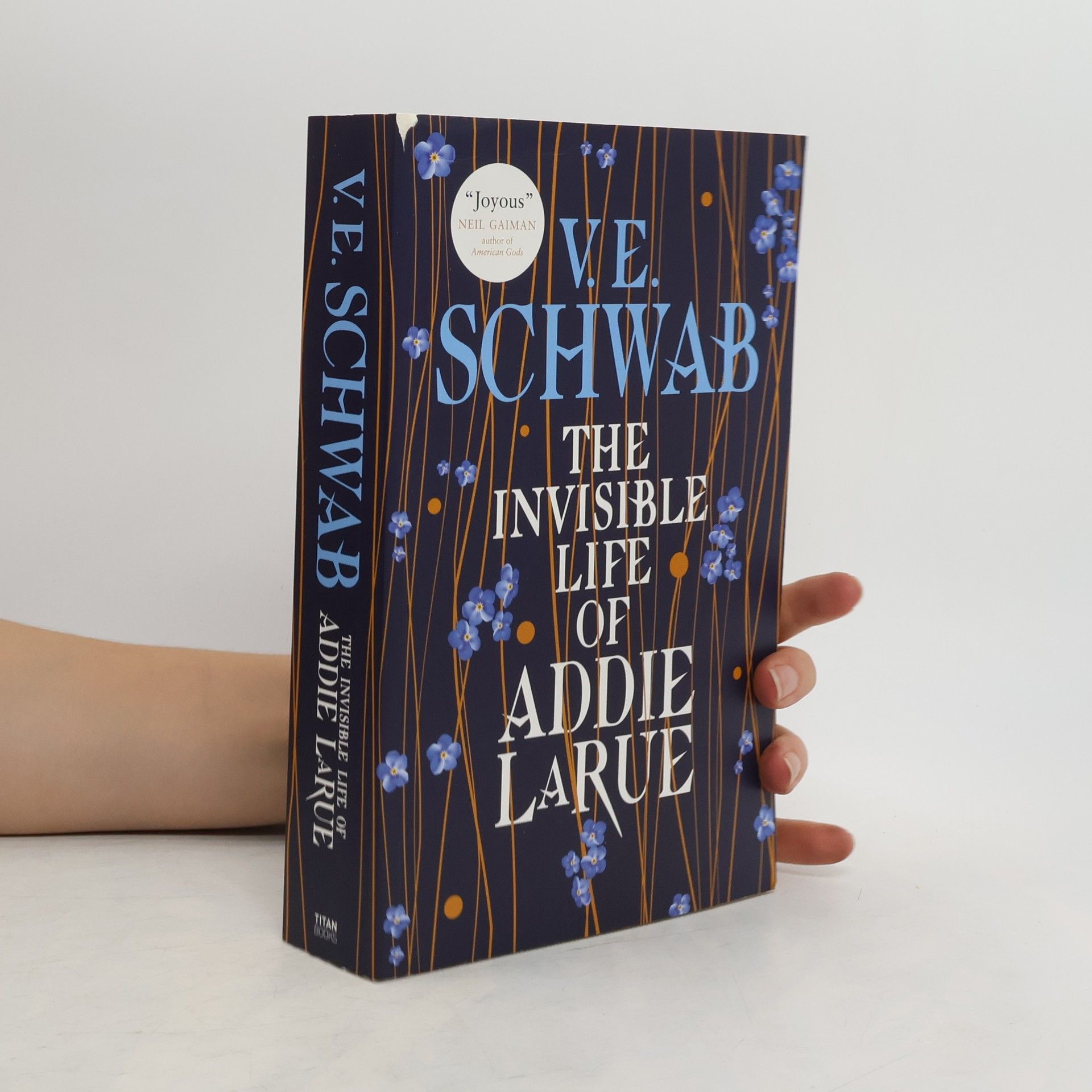 V. E. Schwab The Invisible Life of Addie Larue