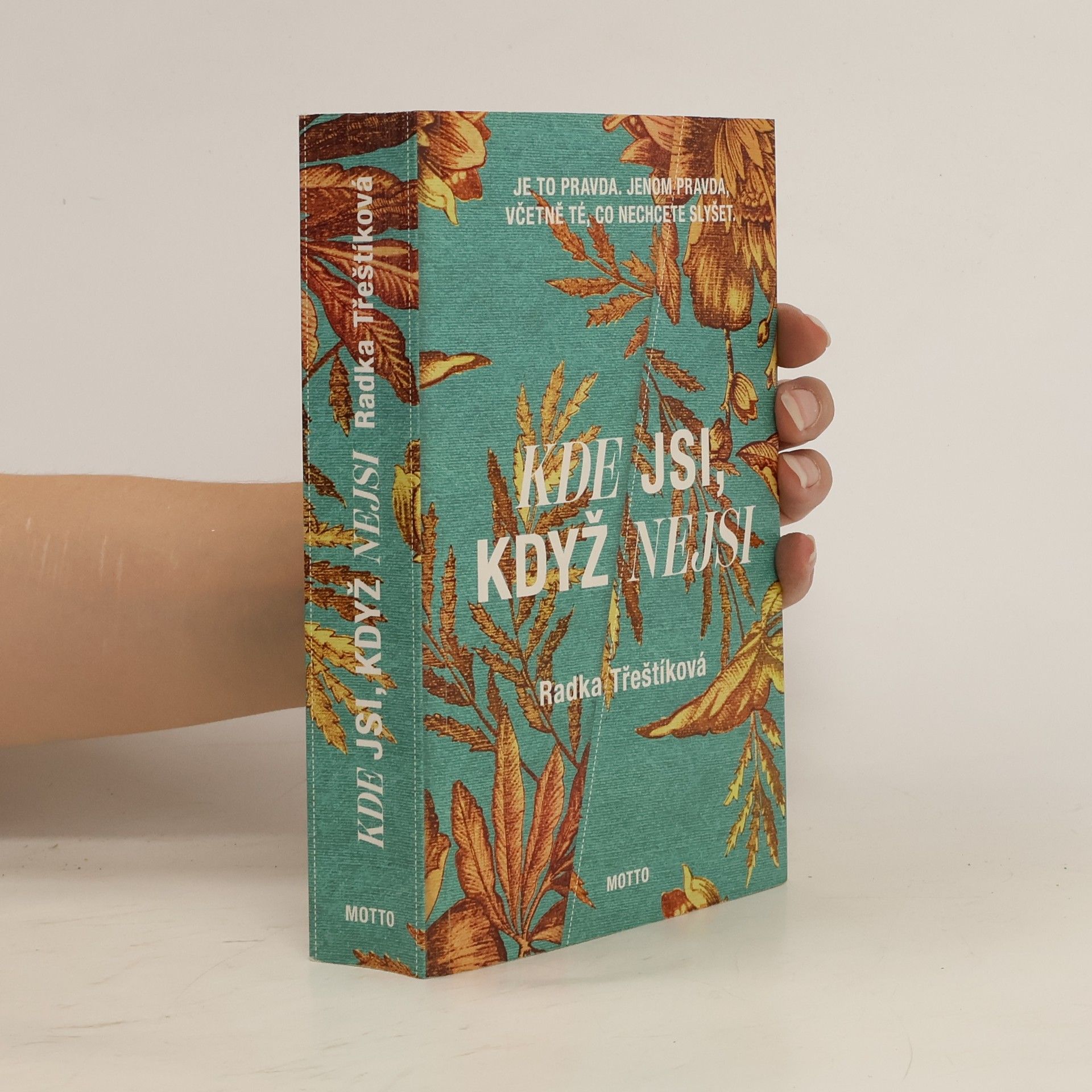 Radka Třeštíková Kde jsi, když nejsi