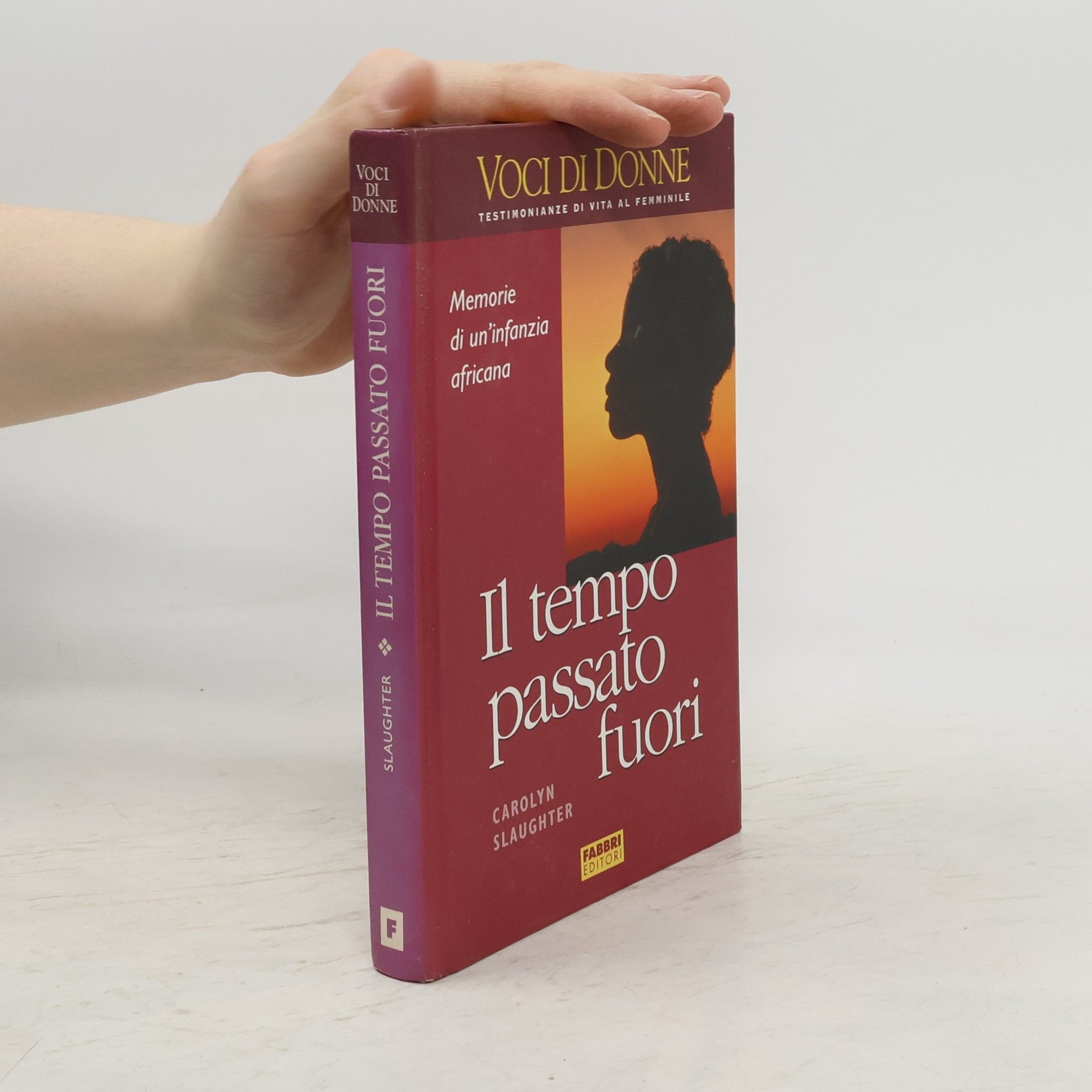 Carolyn Slaughter Il tempo passato fuori