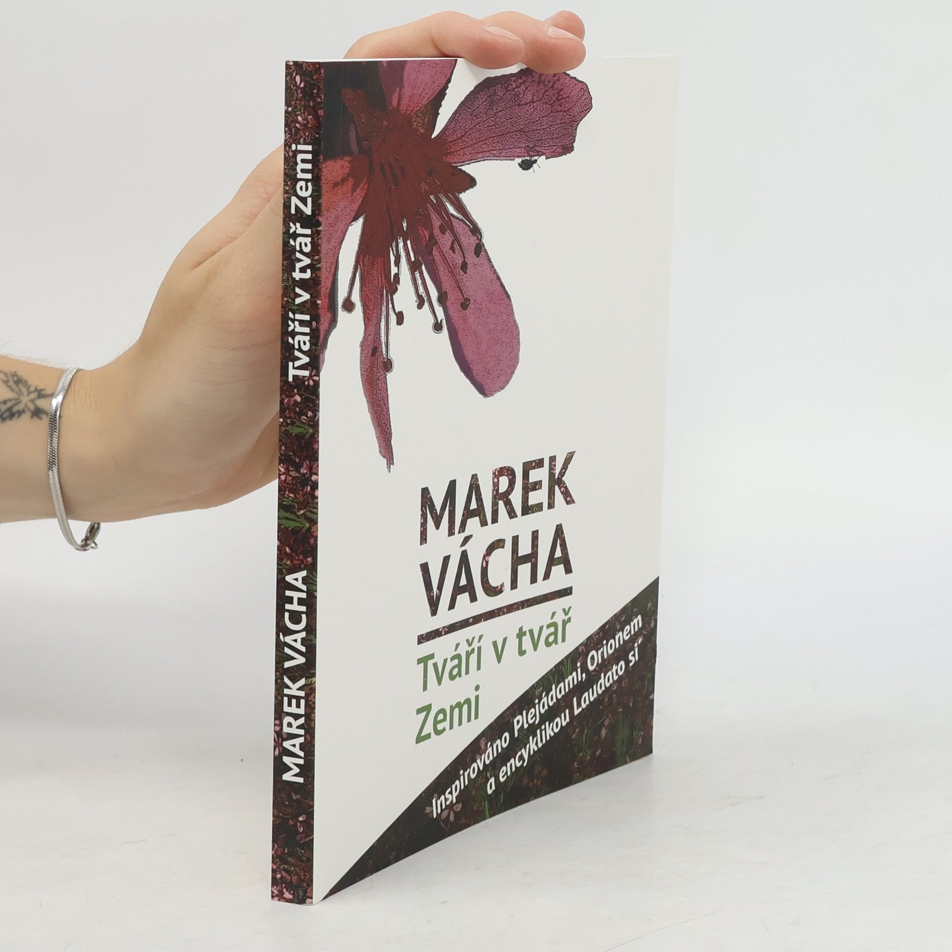 Marek Vácha Tváří v tvář Zemi