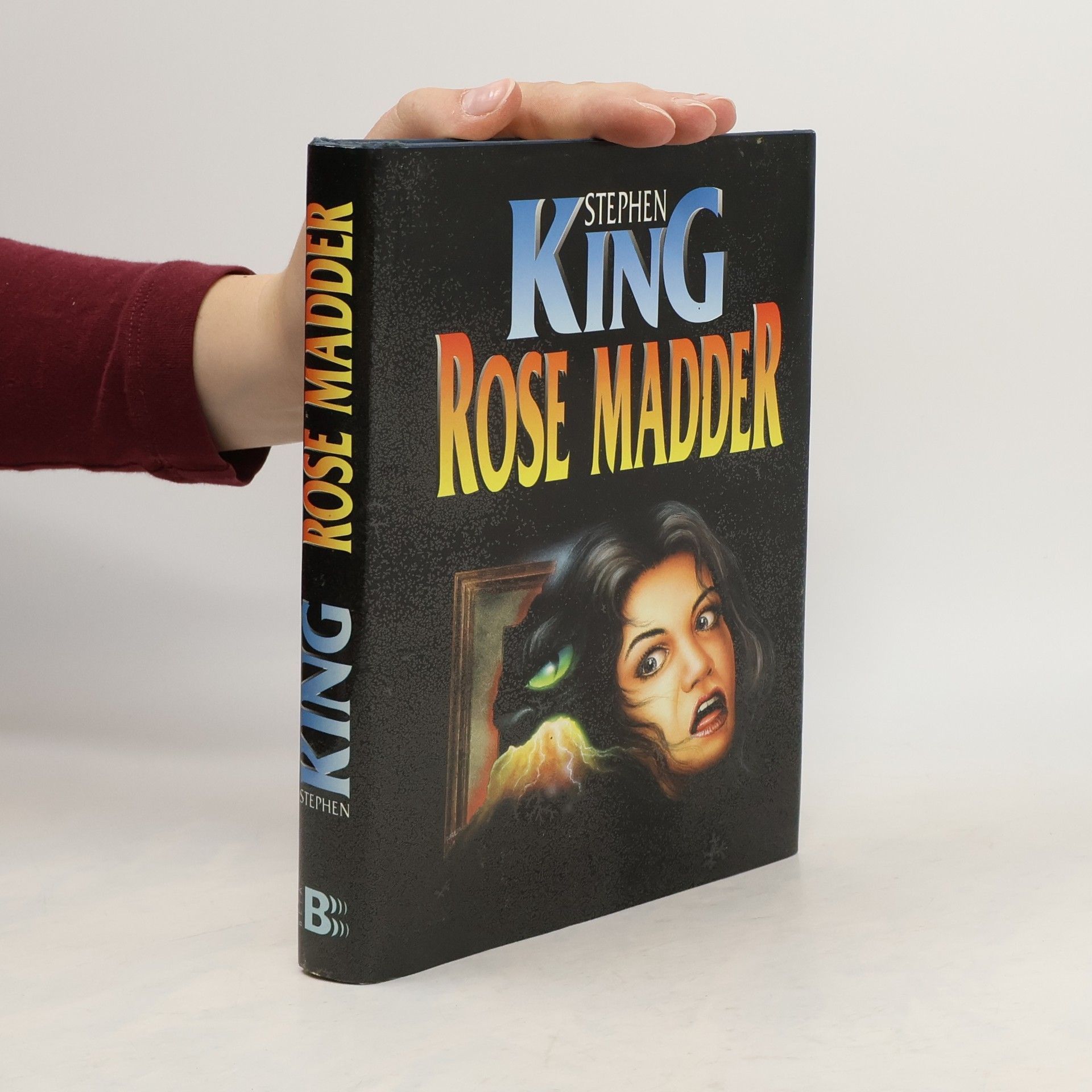 Stephen King Rose Madder