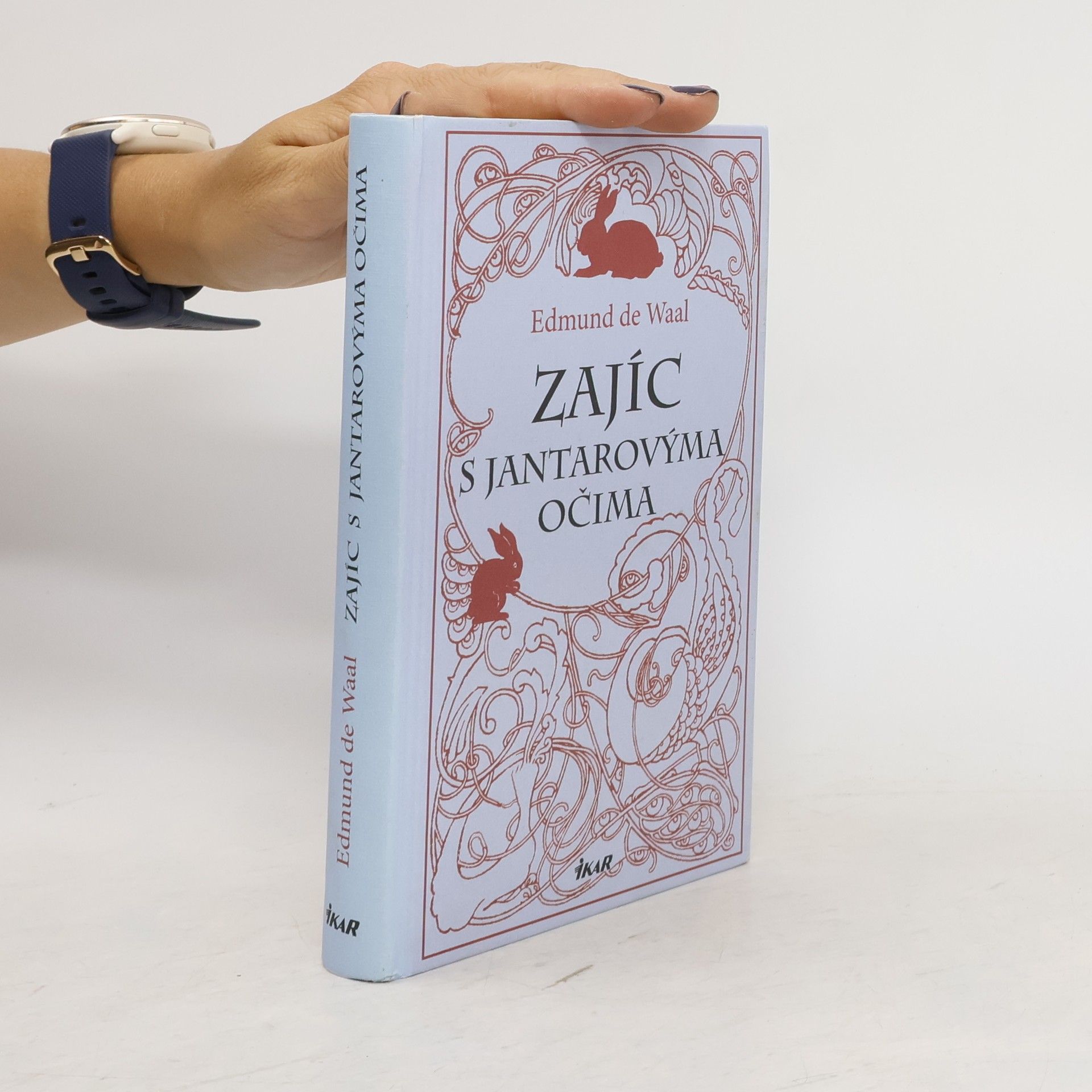Edmund De Waal Zajíc s jantarovýma očima