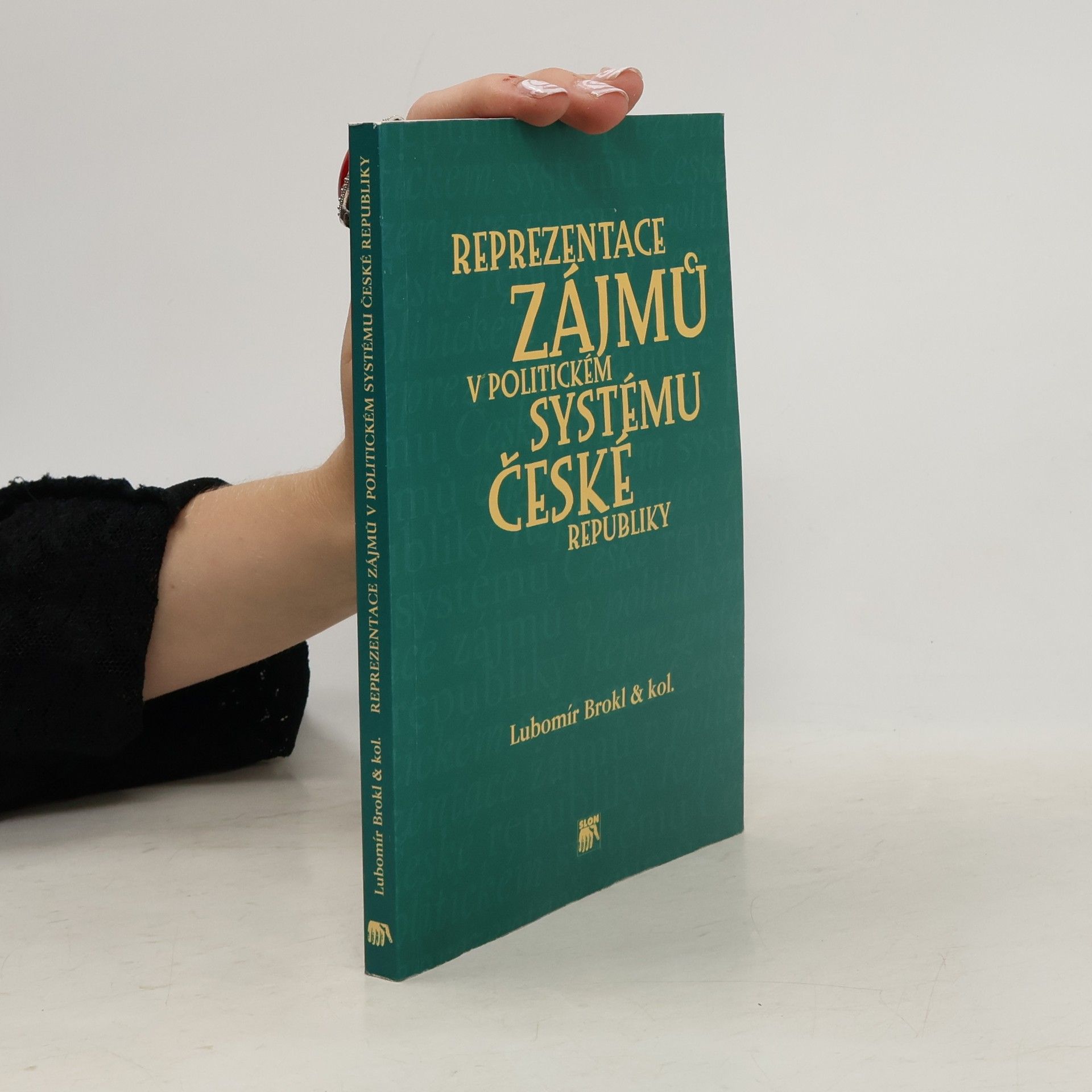 Lubomír Brokl Reprezentace zájmů v politickém systému České republiky