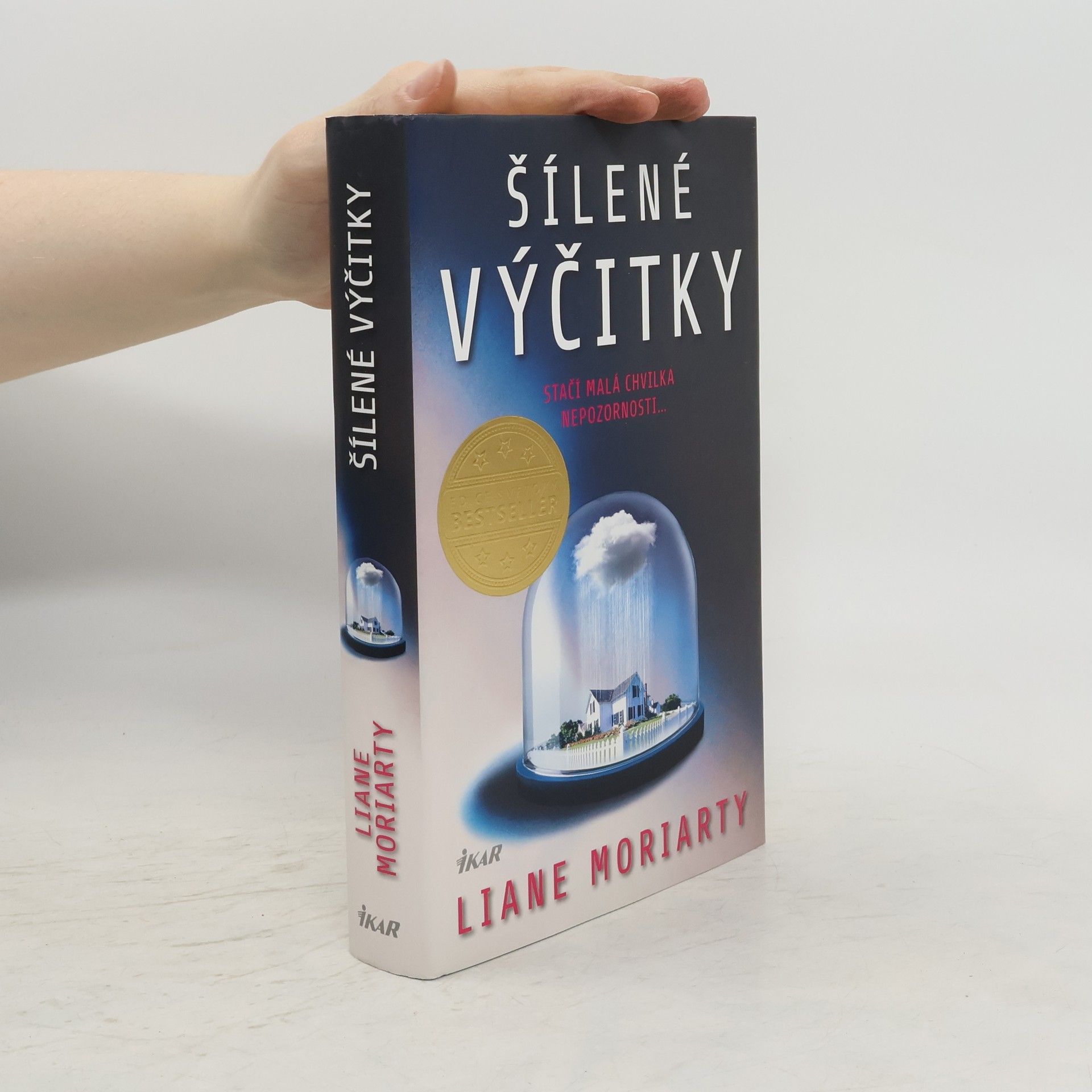 Liane Moriarty Šílené výčitky