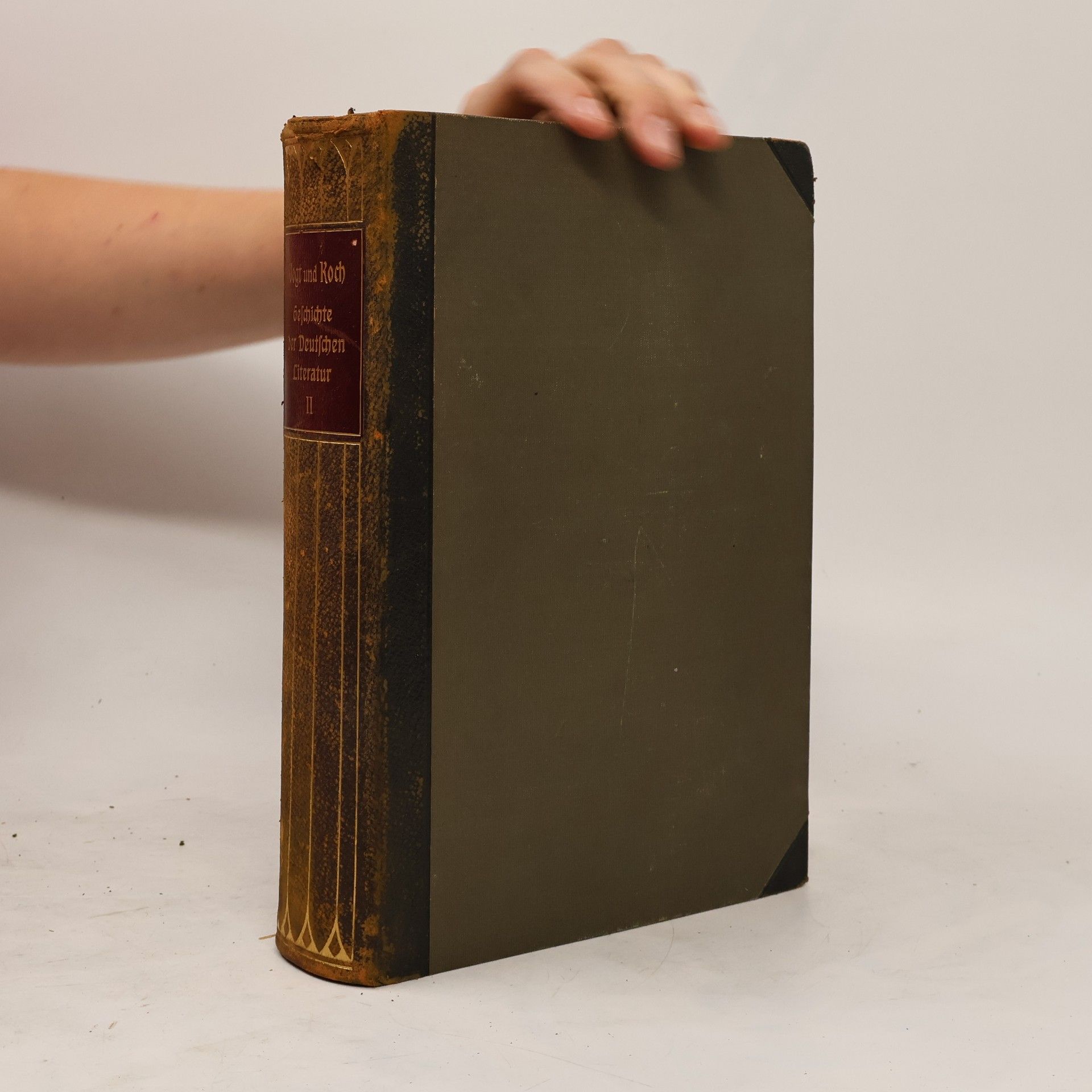 Friedrich Dogt Geschichte Der Deutschen Literatur. Zweiter Band.