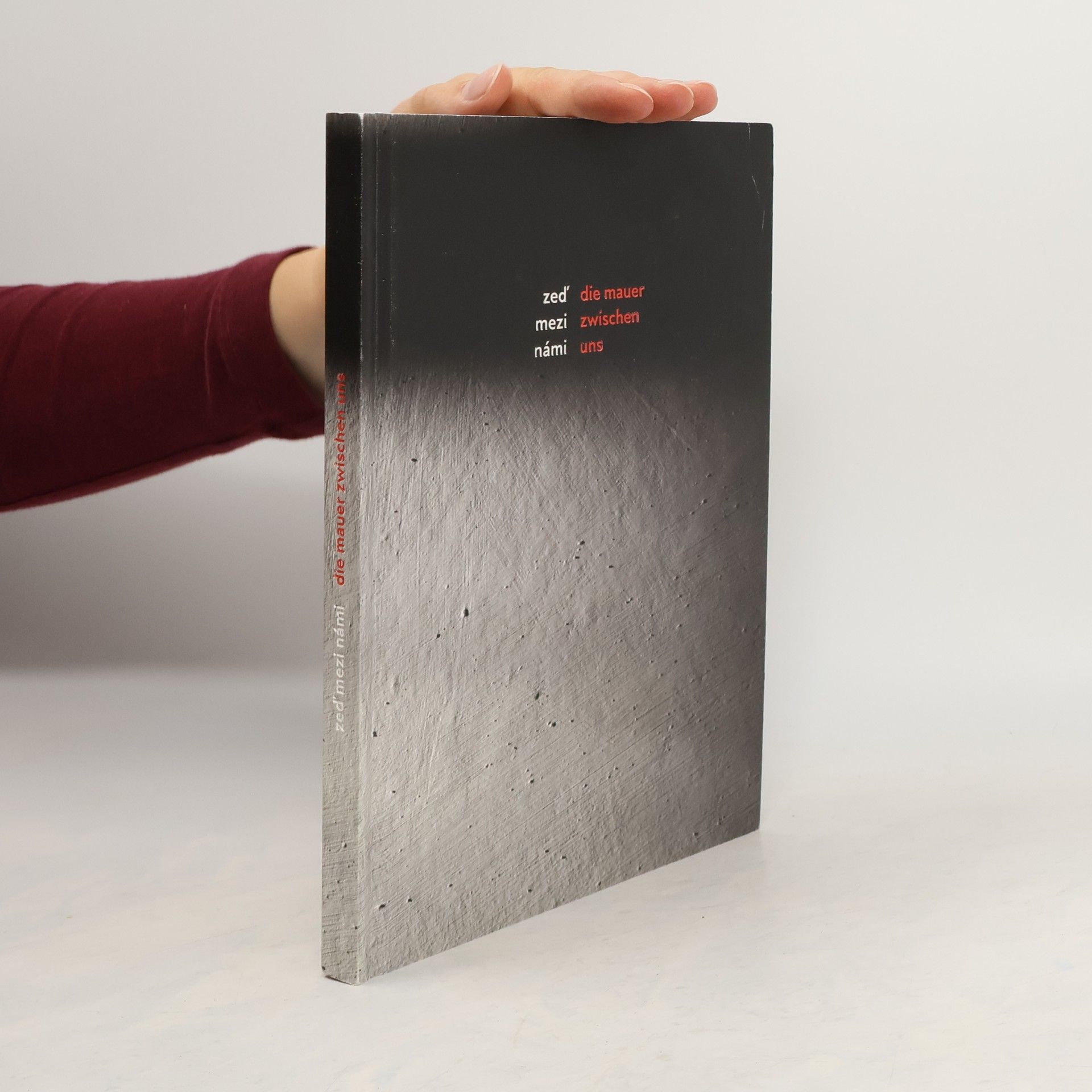 Danuše Siering Zeď mezi námi / Die Mauer zwischen uns