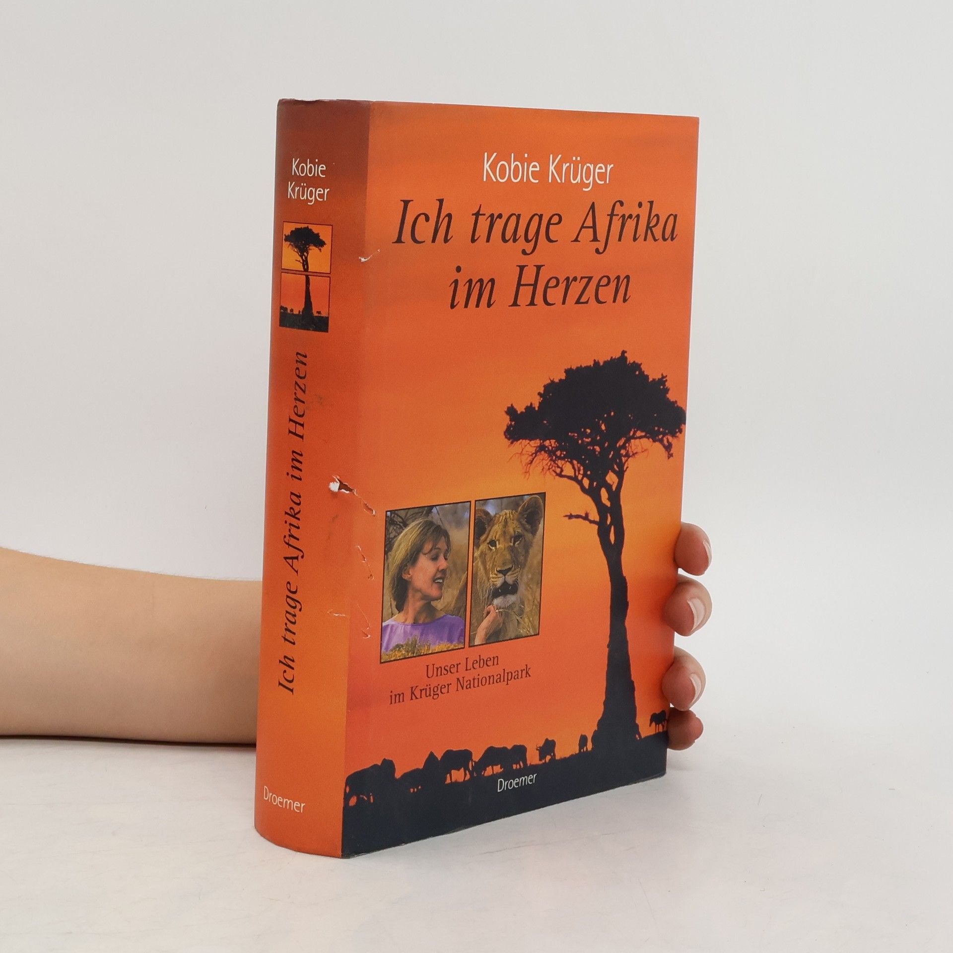 Kobie Krüger Ich trage Afrika im Herzen