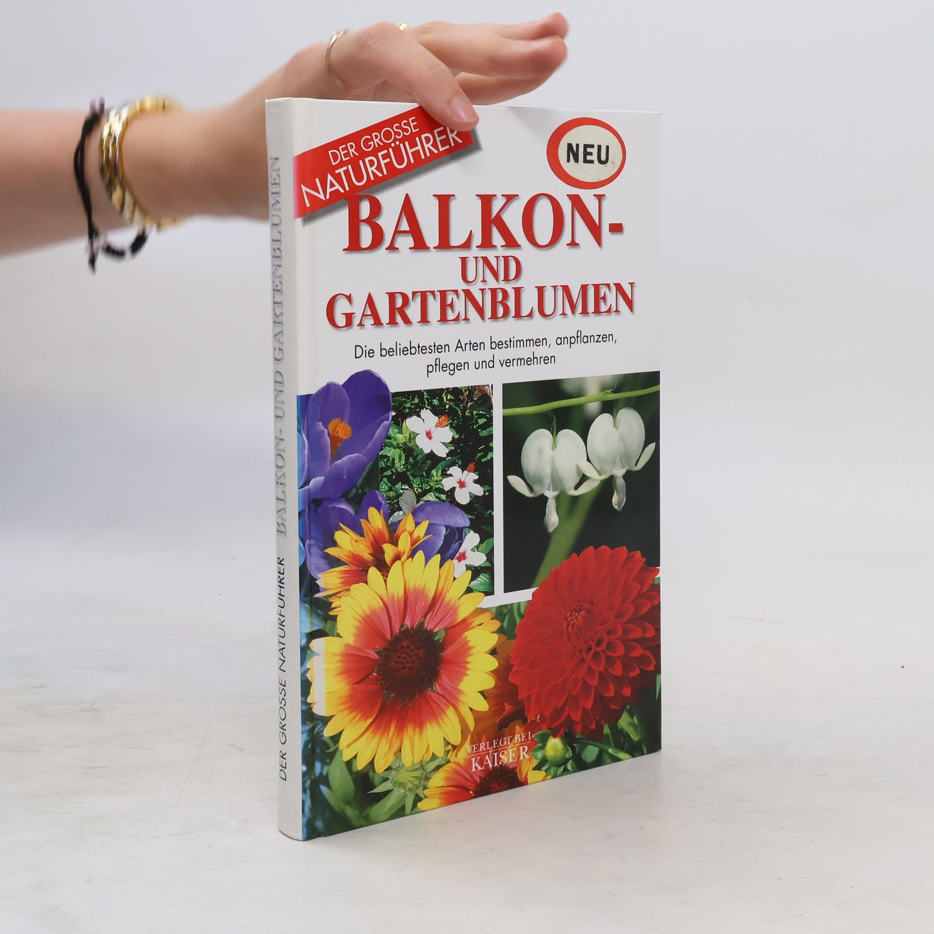 Maria Teresa Della Beffa Balkon- und Gartenblumen