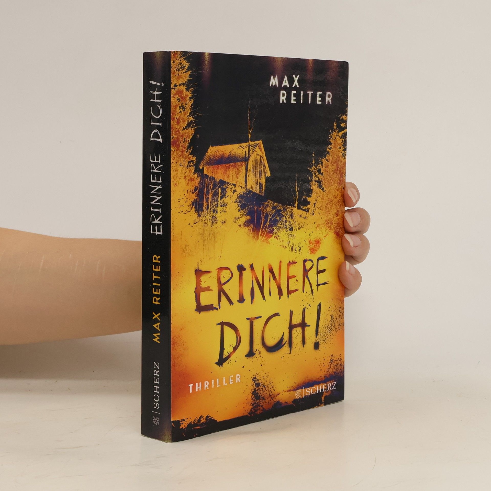 Max Reiter Erinnere dich!