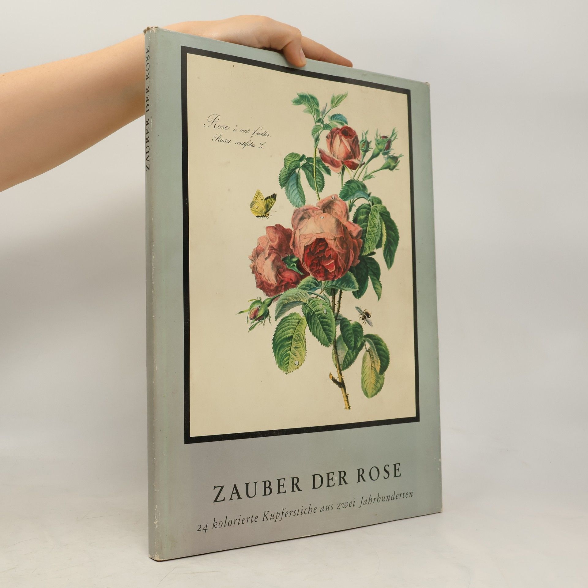 Gerard van Spaendonck Zauber der Rose