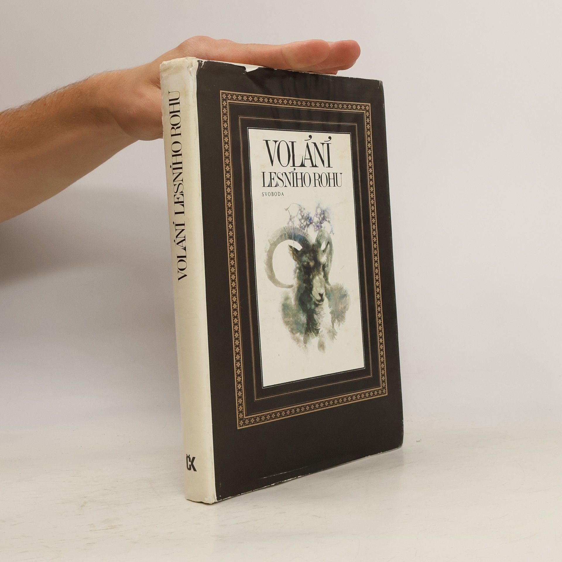 Collectif d'auteurs Volání lesního rohu
