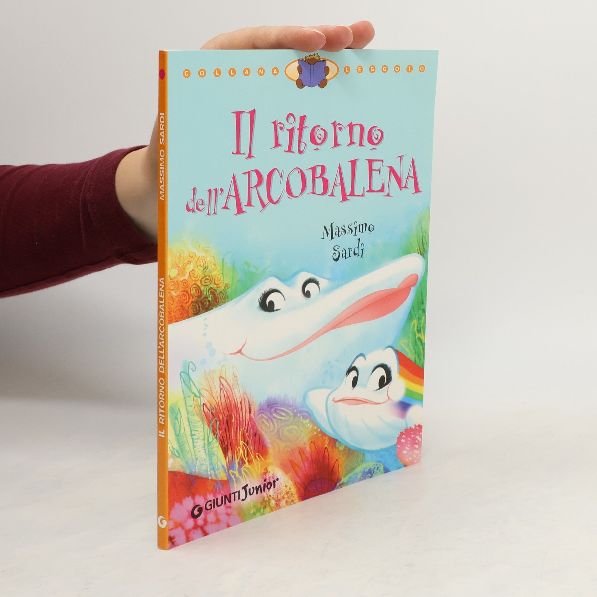 Massimo Sardi Il ritorno dell'Arcobalena