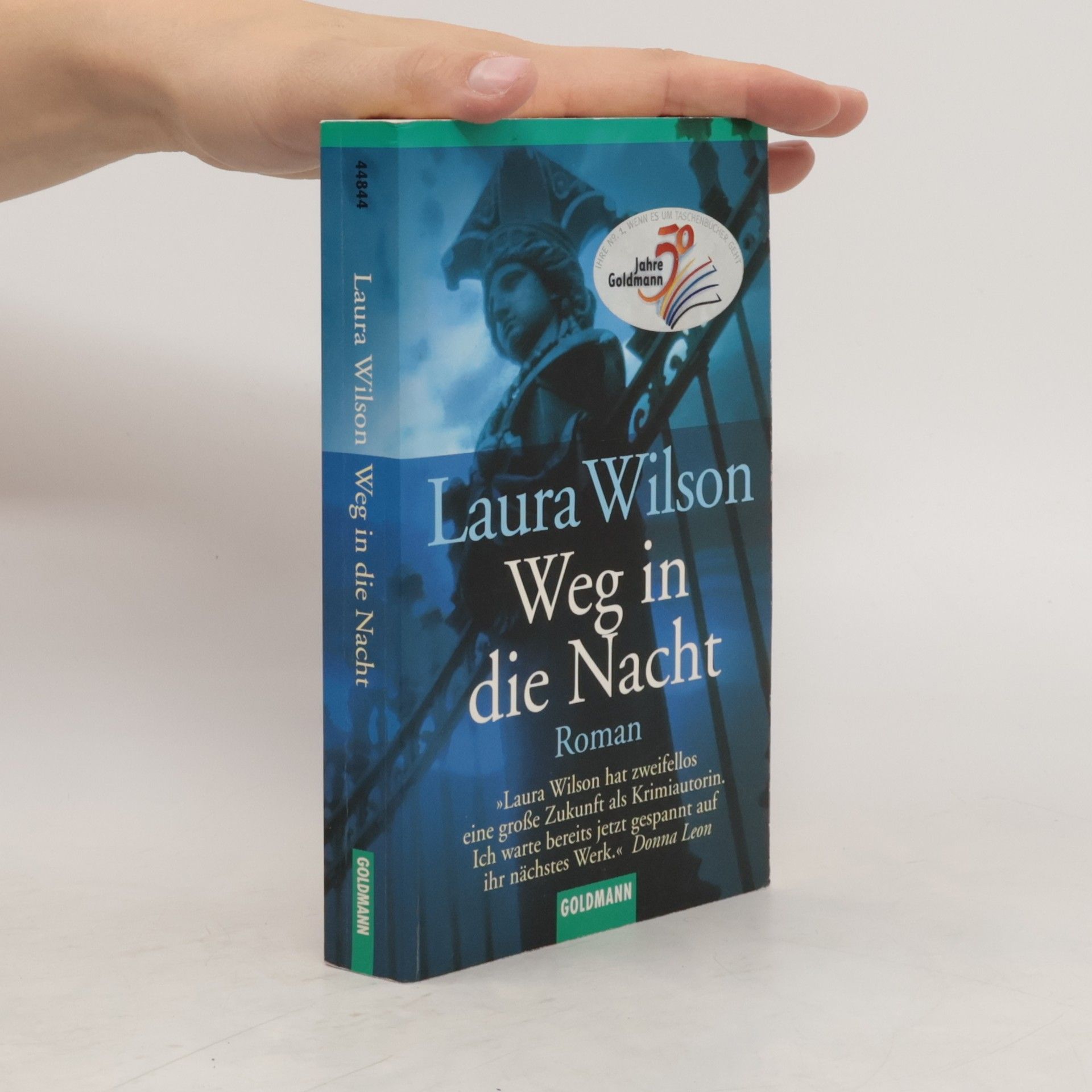 Laura Wilson Weg in die Nacht
