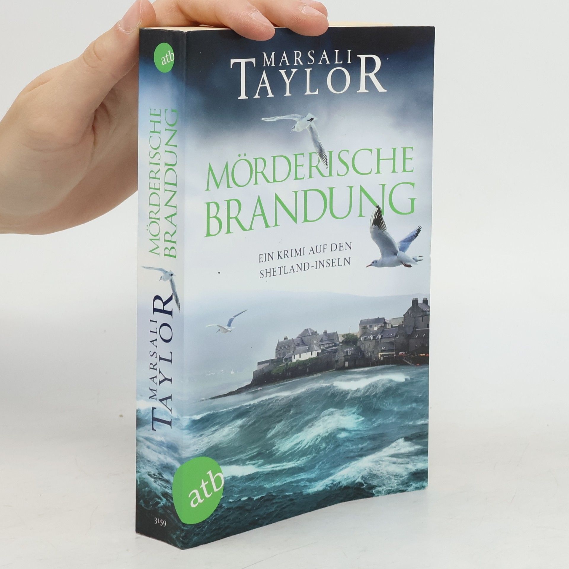 Marsali Taylor Mörderische Brandung