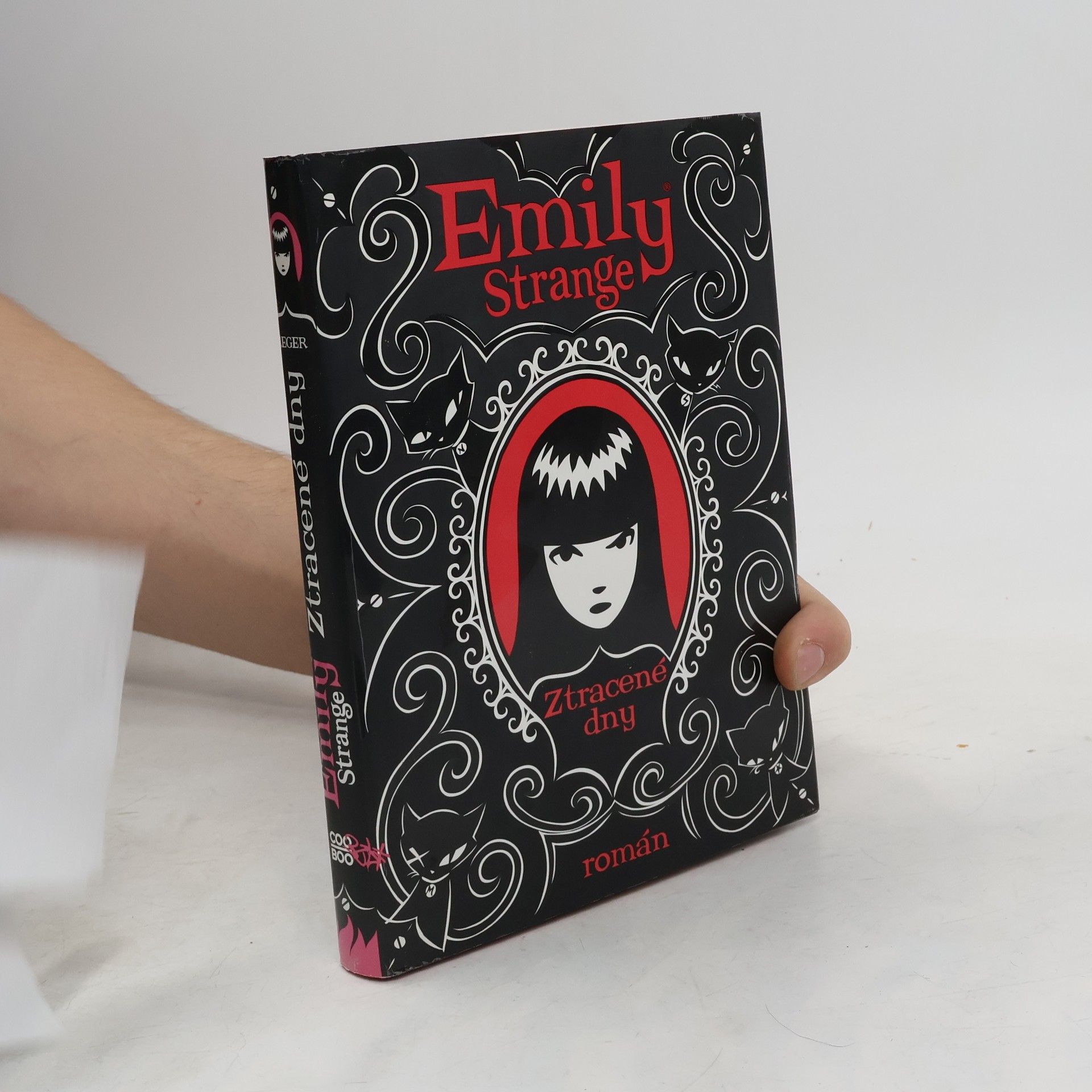 Robert Reger Emily Strange. Ztracené dny