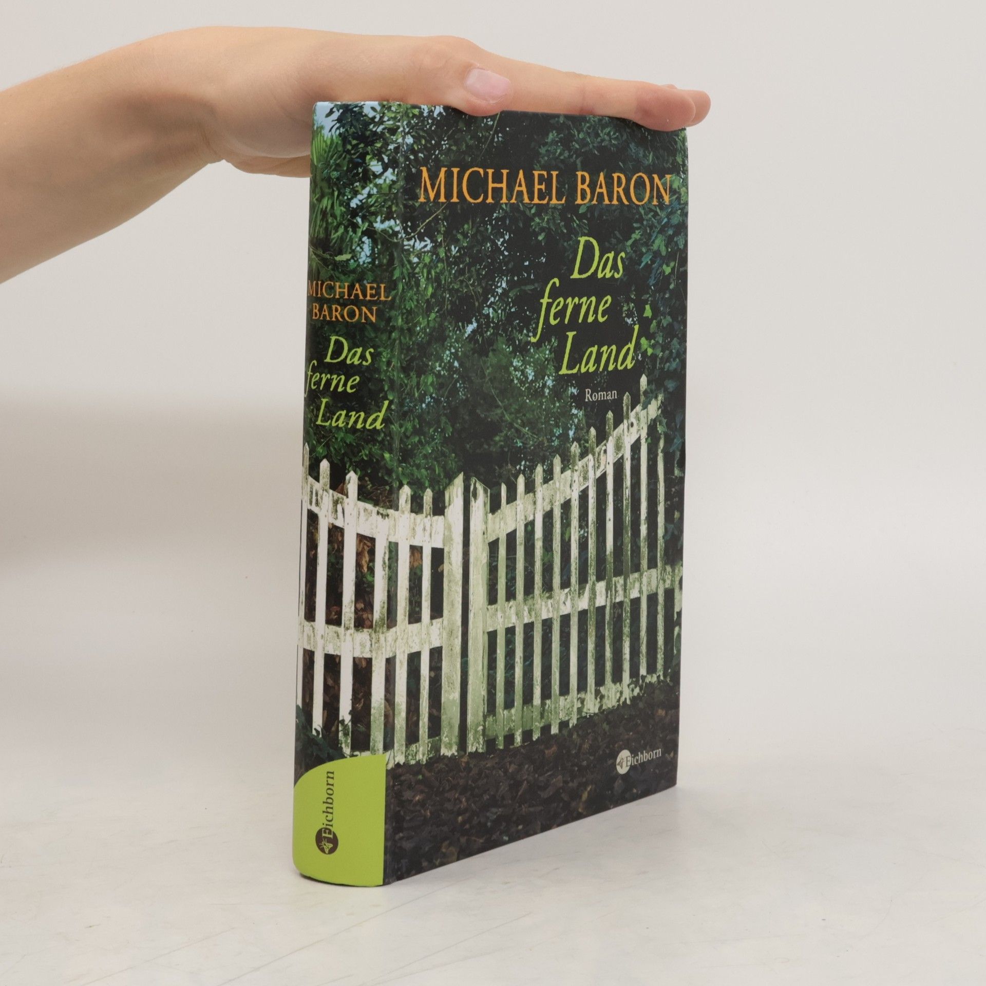 Michael Baron Das ferne Land