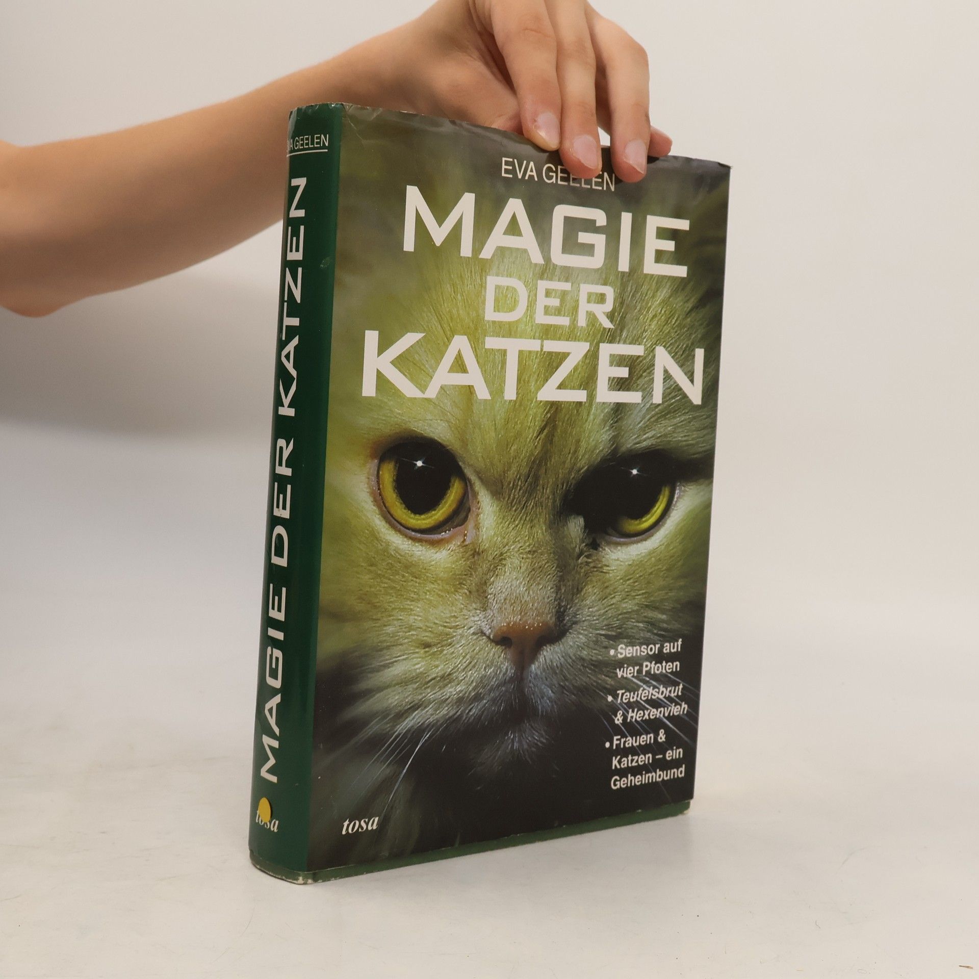 Eva Geelen Magie der Katzen