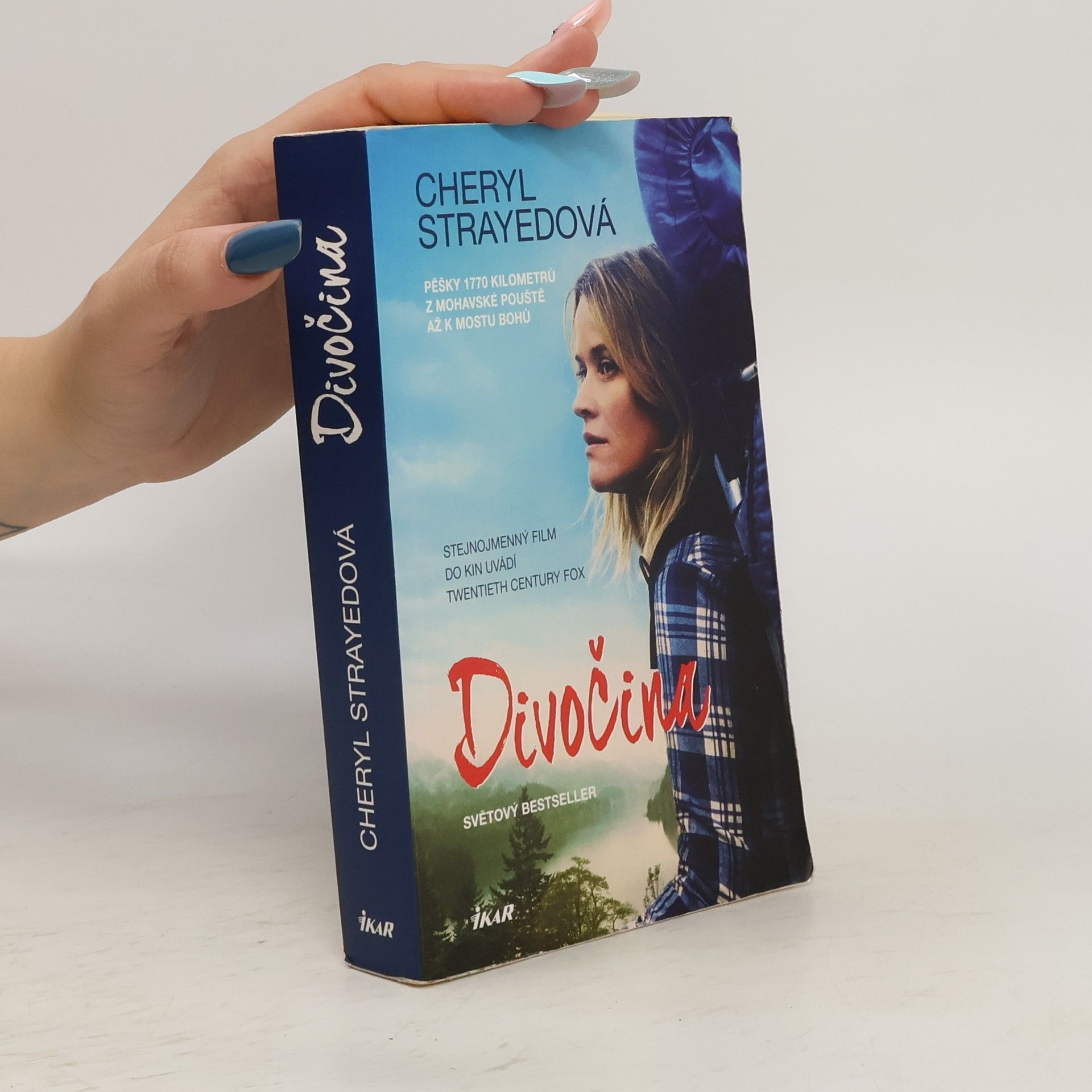 Cheryl Strayed Divočina. Pěšky 1770 kilometrů z Mohavské pouště až k mostu bohů