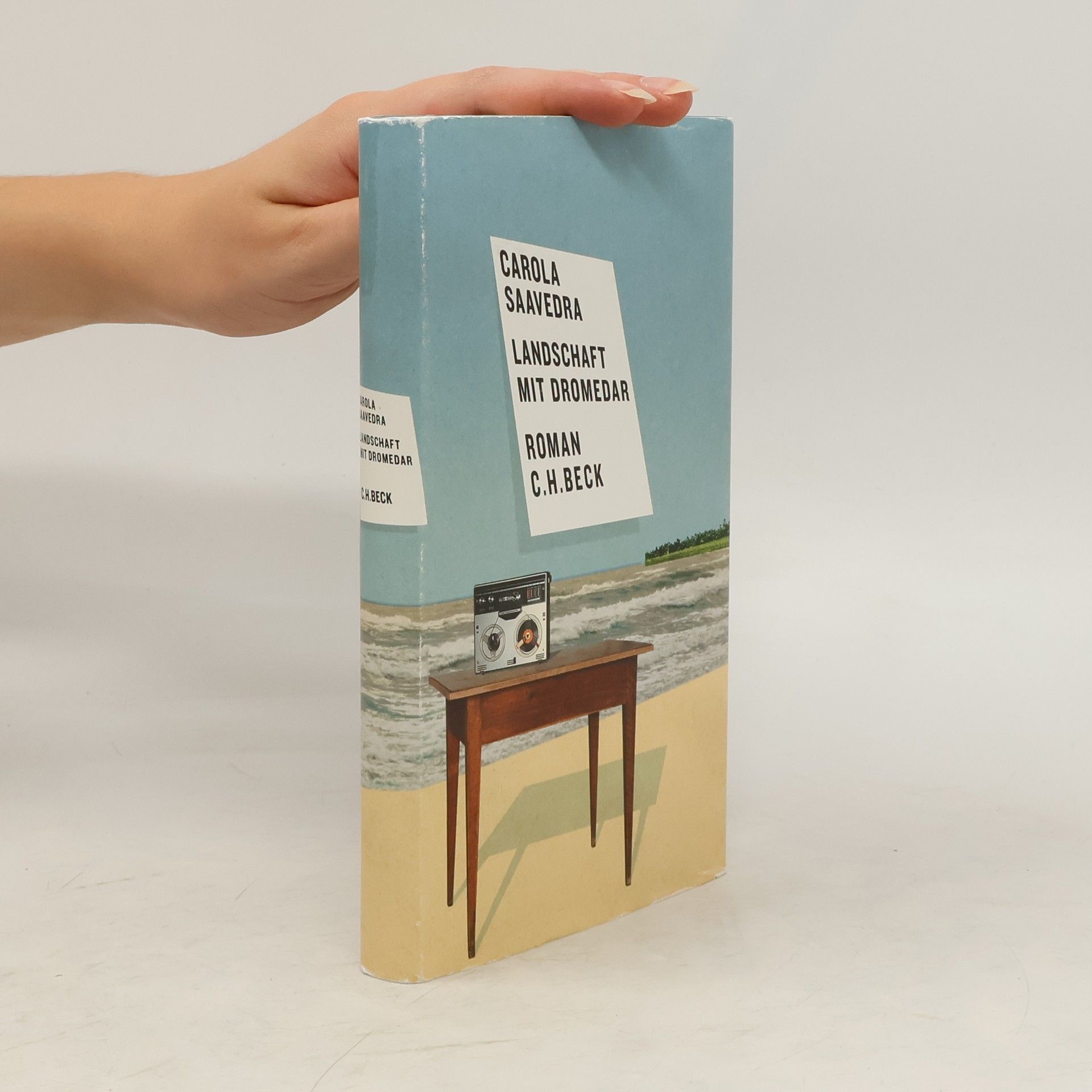 Carola Saavedra Landschaft mit Dromedar