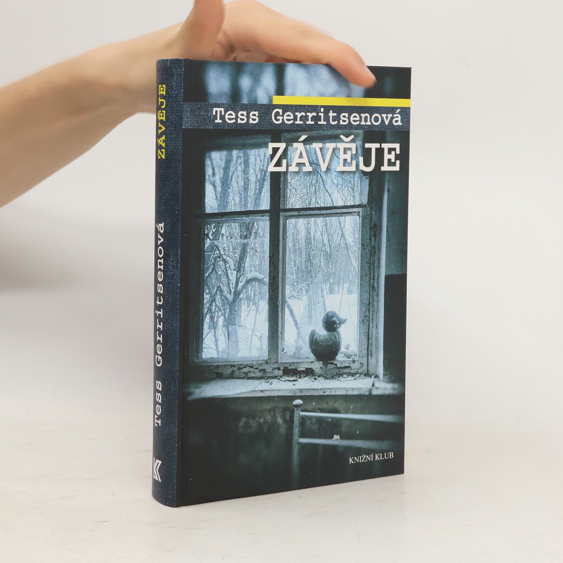 Tess Gerritsen Závěje