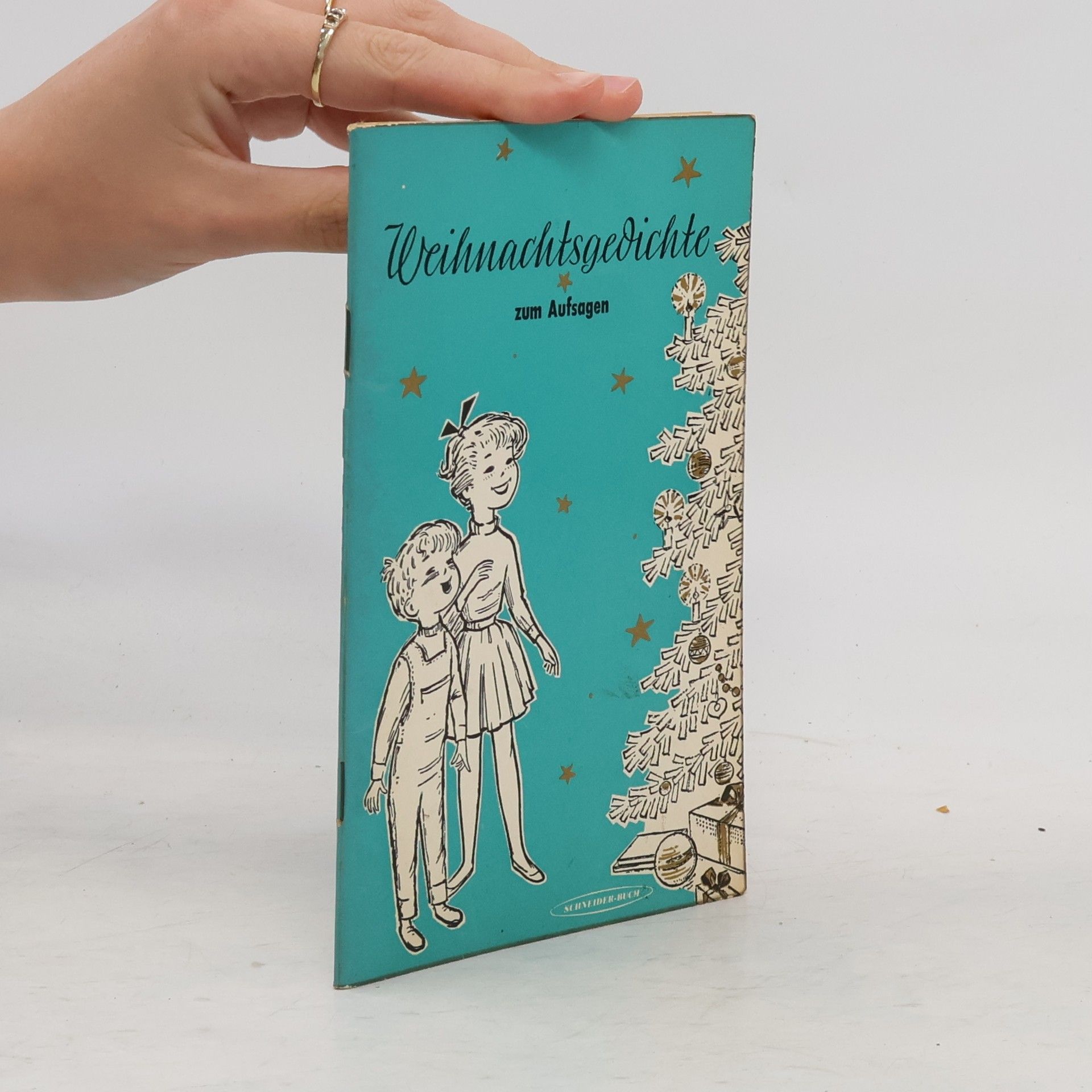 Collectif d'auteurs Weihnachtsgedichte zum Aufsagen