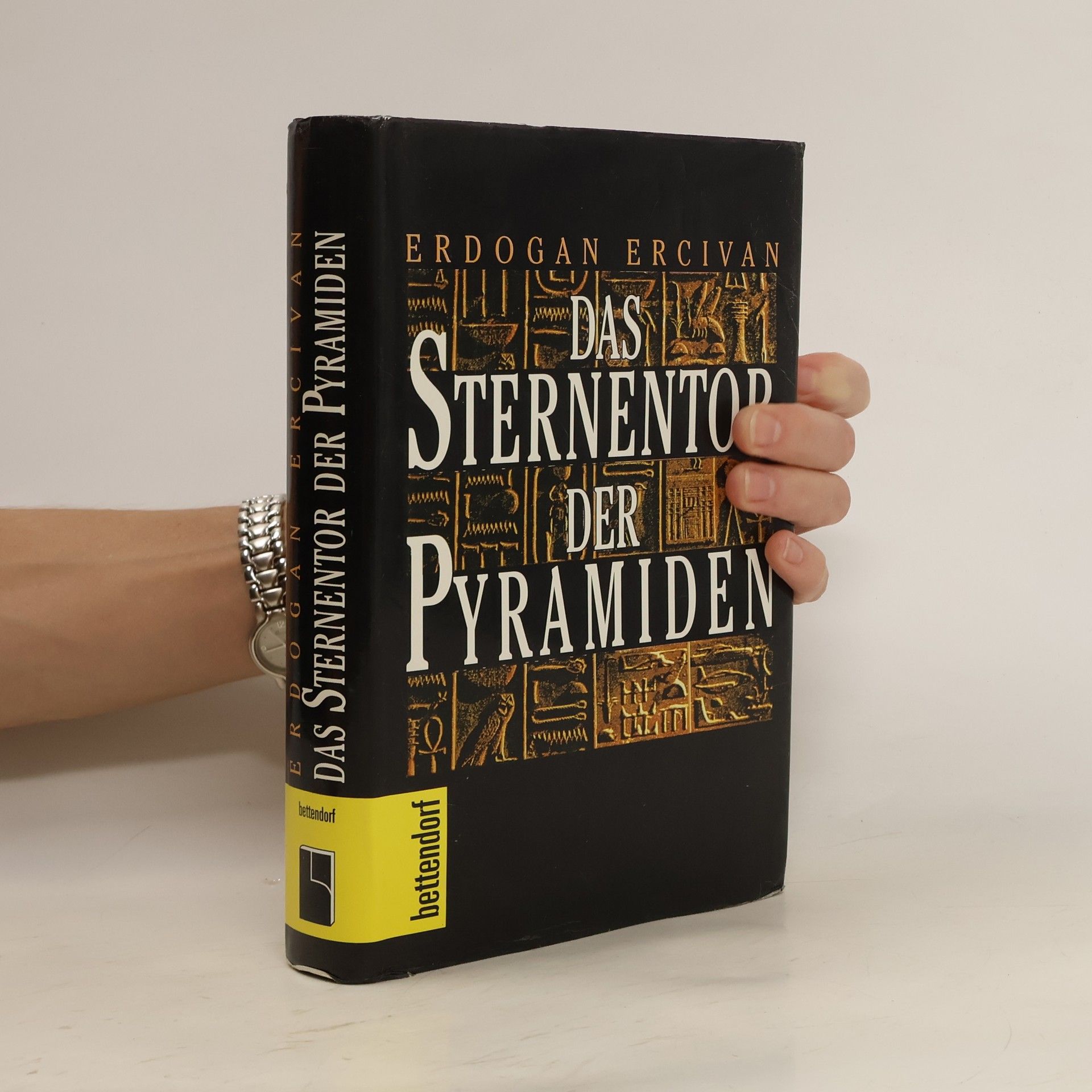 Erdogan Ercivan Das Sternentor der Pyramiden