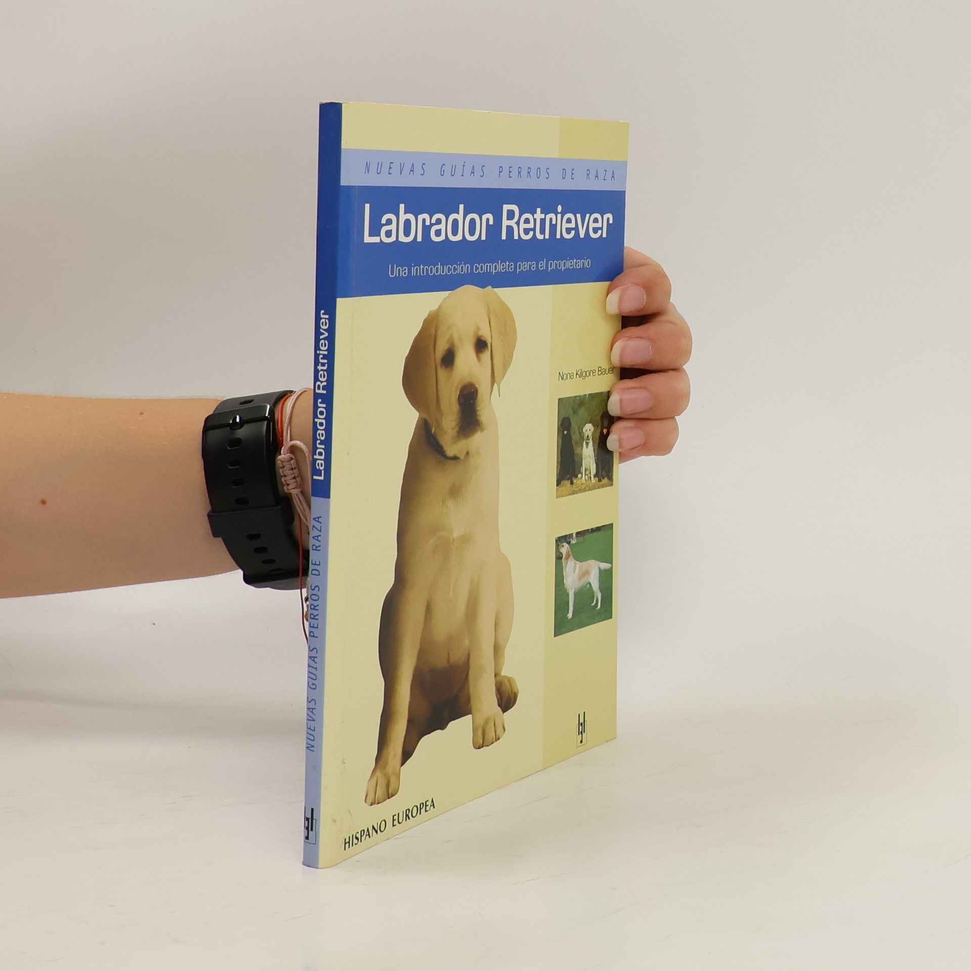 Nona Kilgore Bauer Labrador Retriever