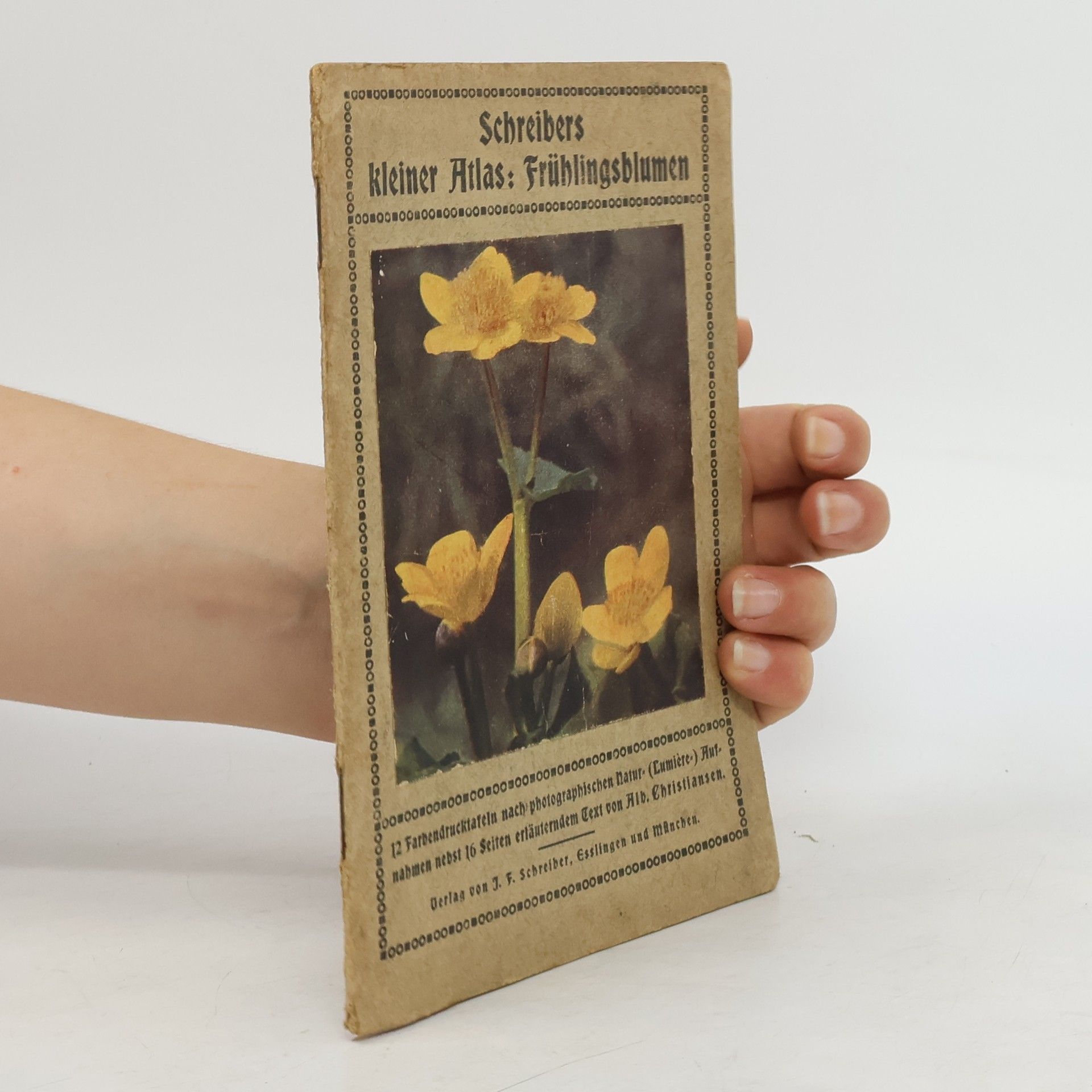 Albert Christiansen Schreibers kleiner Atlas. Frühlingsblumen