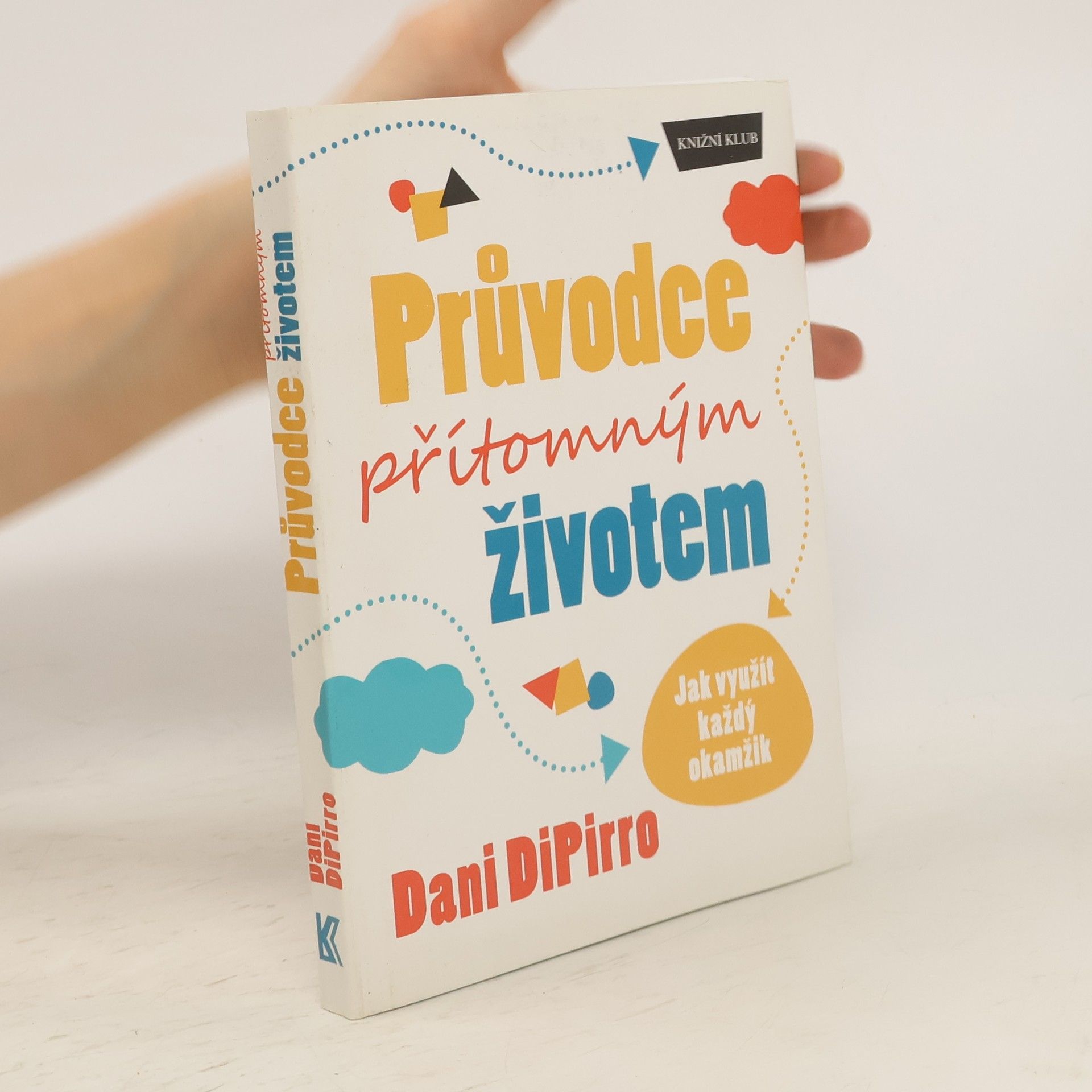 Dani DiPirro Průvodce přítomným životem: Jak využít každý okamžik