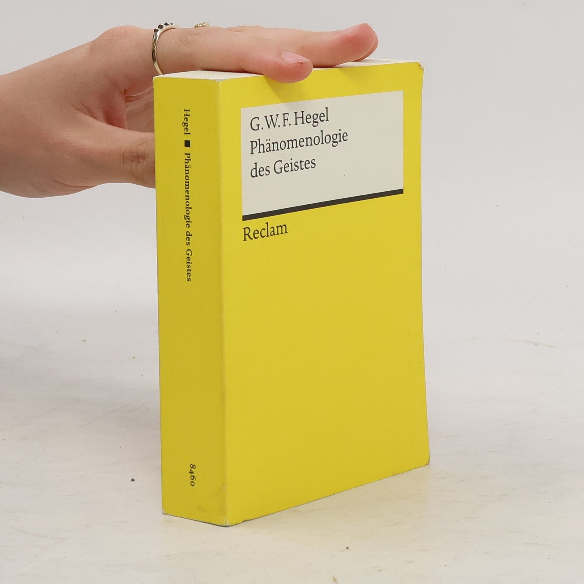 Georg Wilhelm Friedrich Hegel Phänomenologie des Geistes