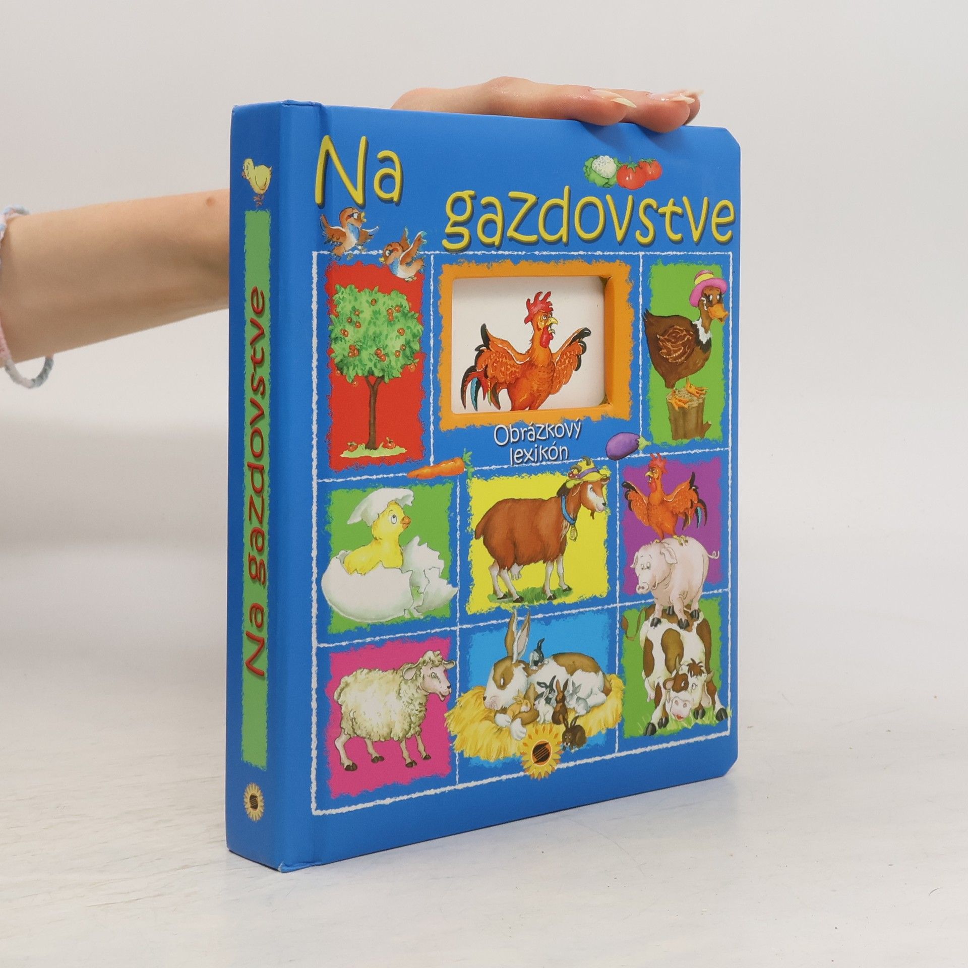 Gisela Socolovsky Rudi Na gazdovstve. Obrázkový lexikón