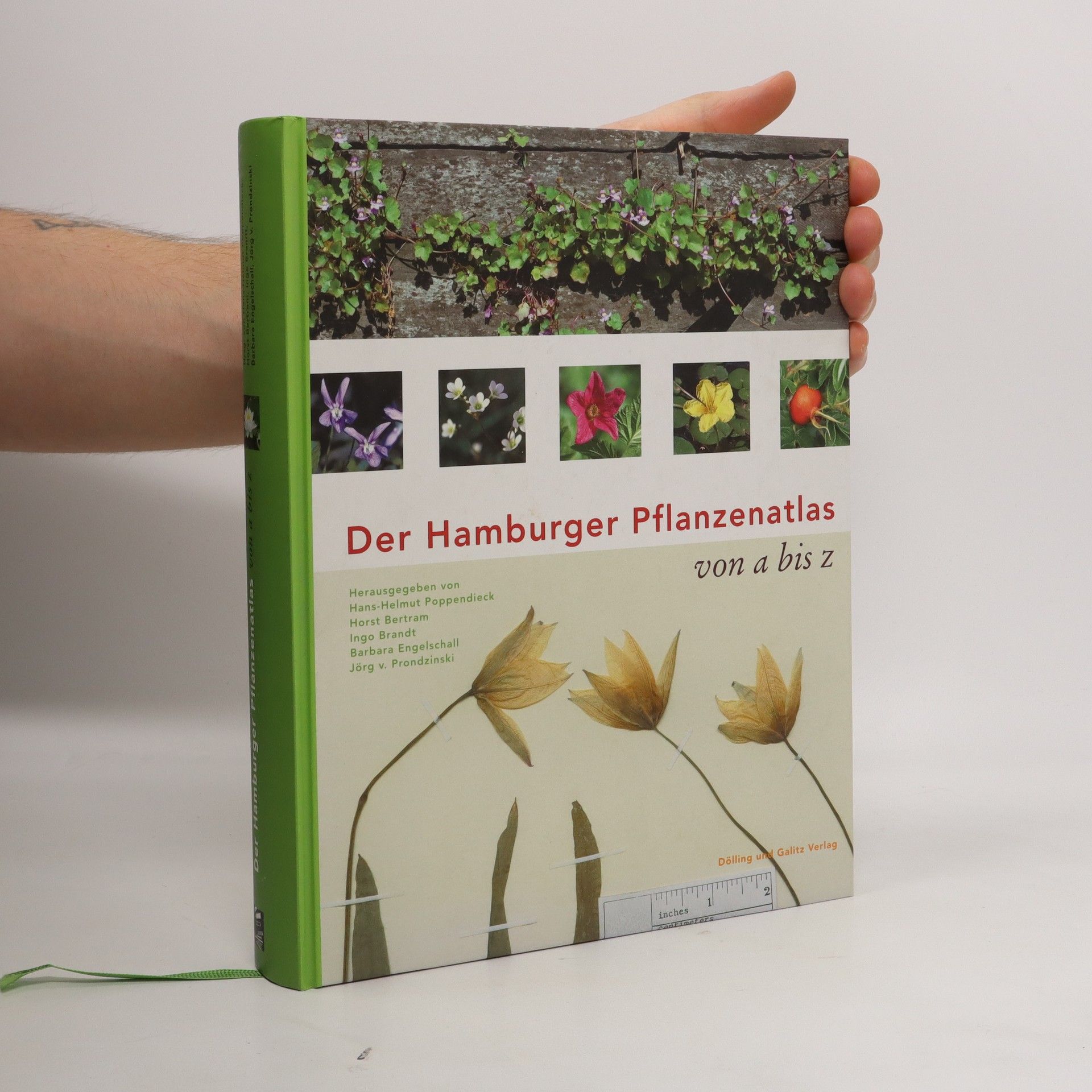 Autorenkollektiv Der Hamburger Pflanzenatlas von a bis z