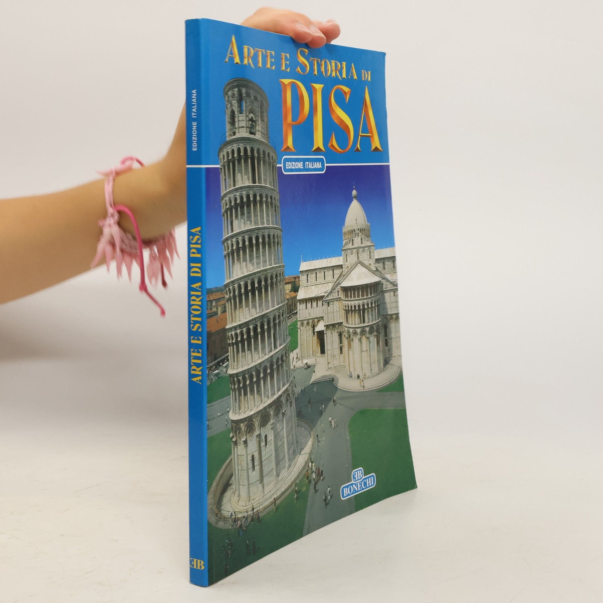 Giuliano Valdes Arte e storia di Pisa