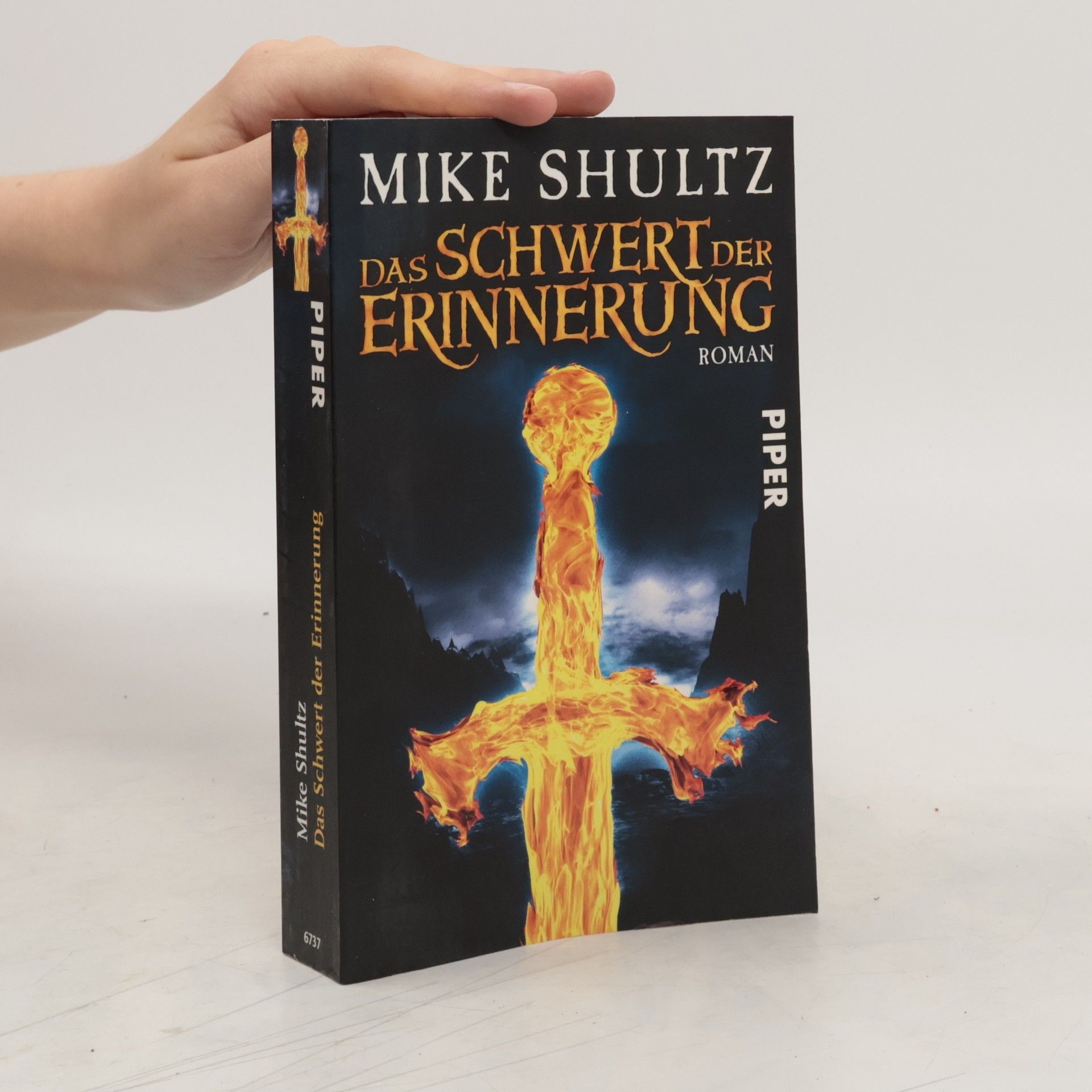 Mike Shultz Das Schwert der Erinnerung