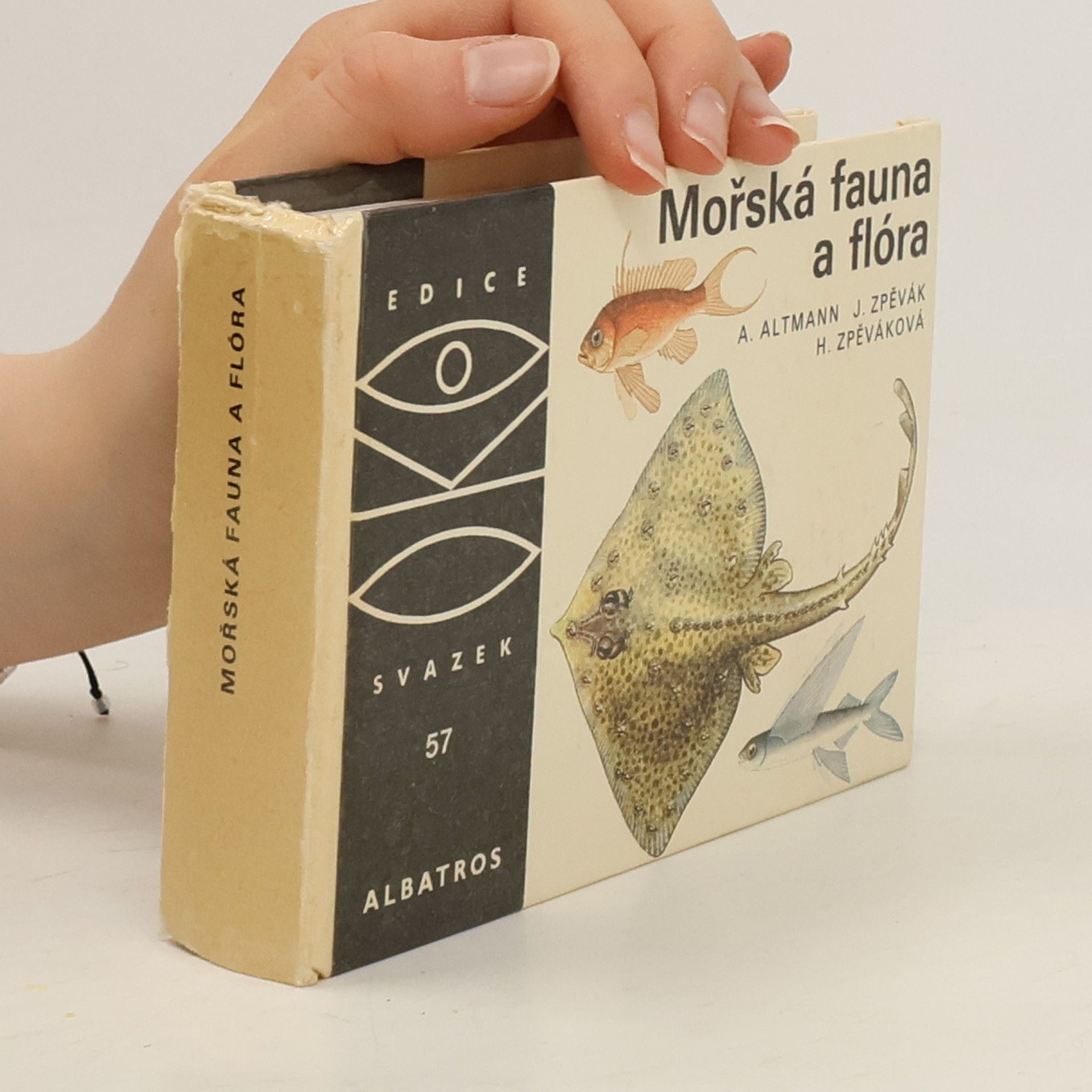 Antonín Altmann Mořská fauna a flóra