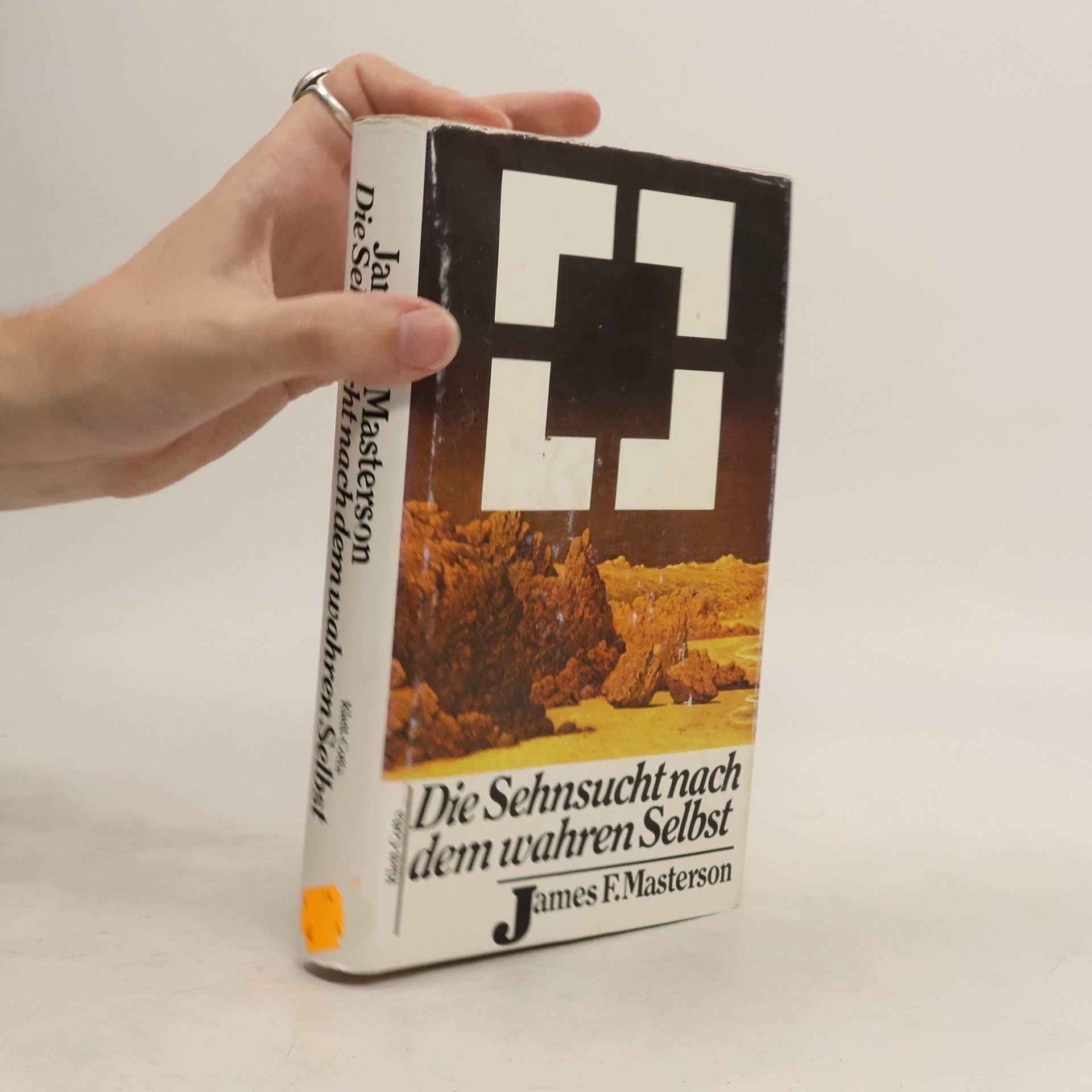 James F. Masterson Die Sehnsucht nach dem wahren Selbst