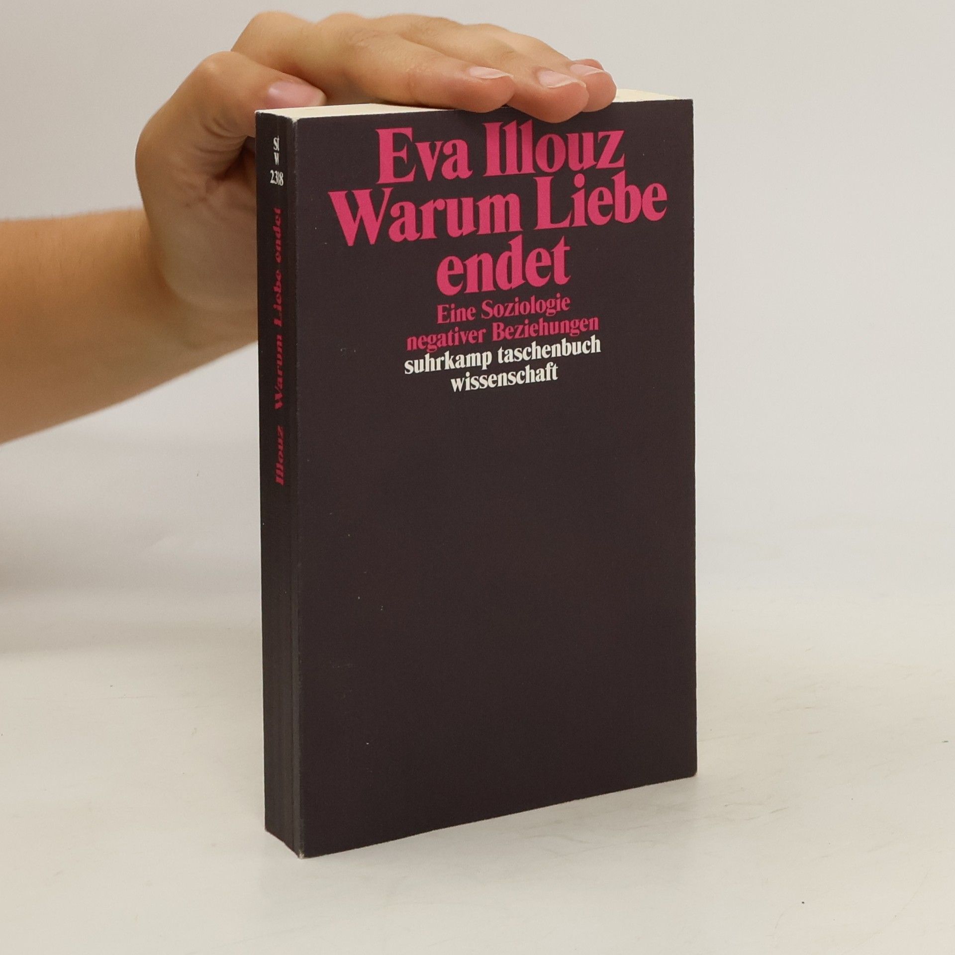 Eva Illouz Warum Liebe endet