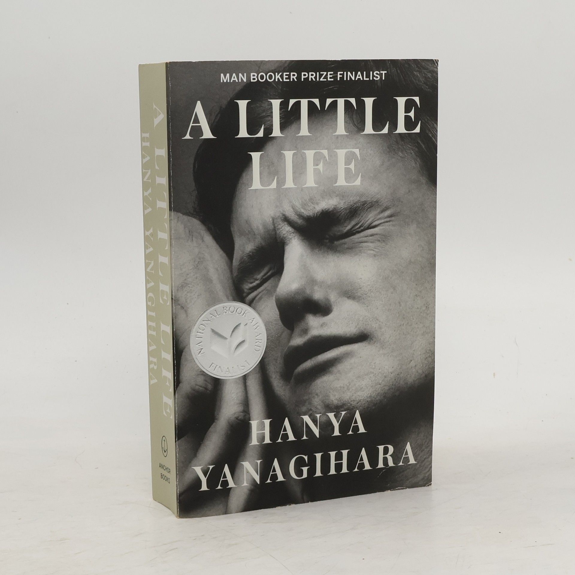 Hanya Yanagihara A Little Life