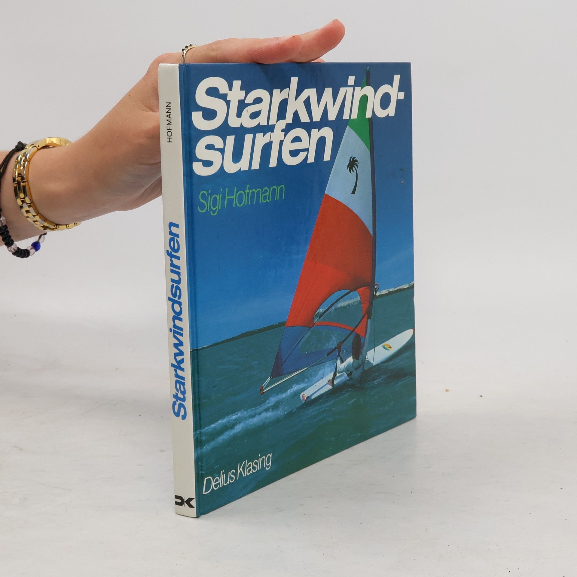 Sigi Hofmann Starkwindsurfen