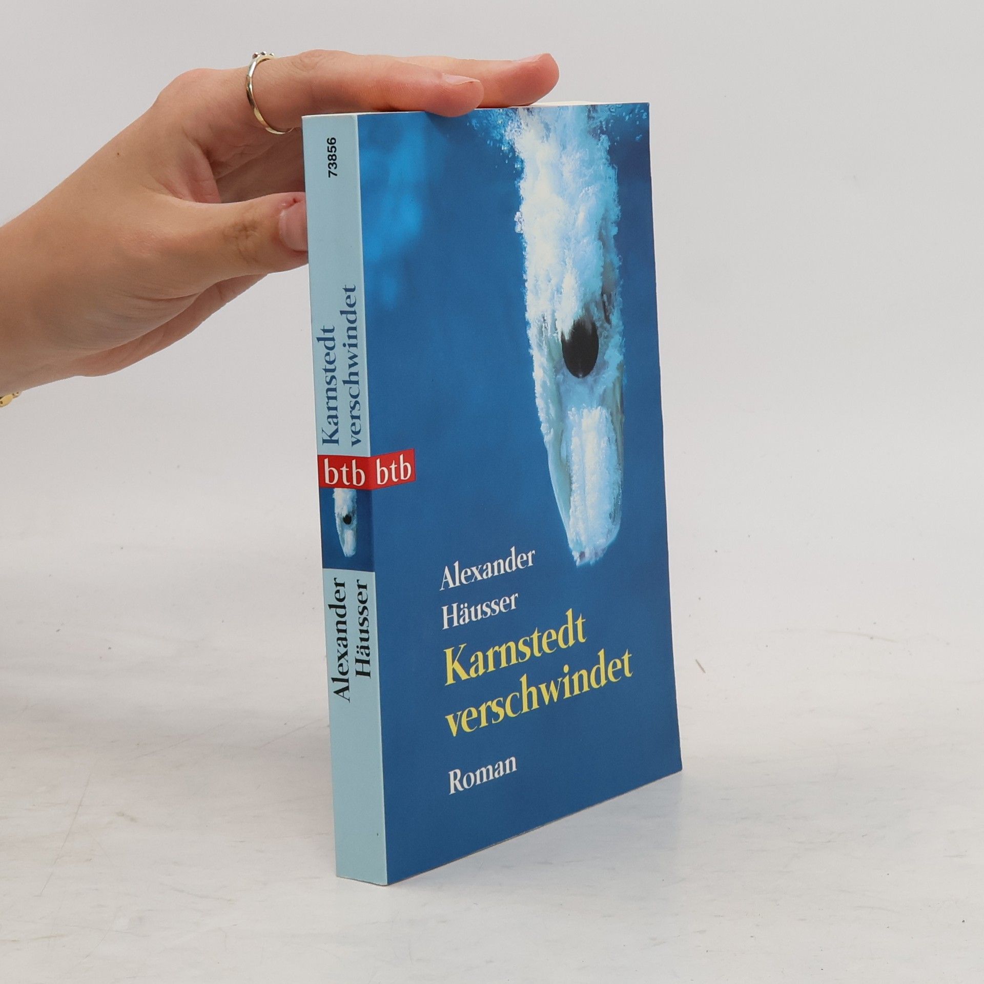 Alexander Häusser Karnstedt verschwindet