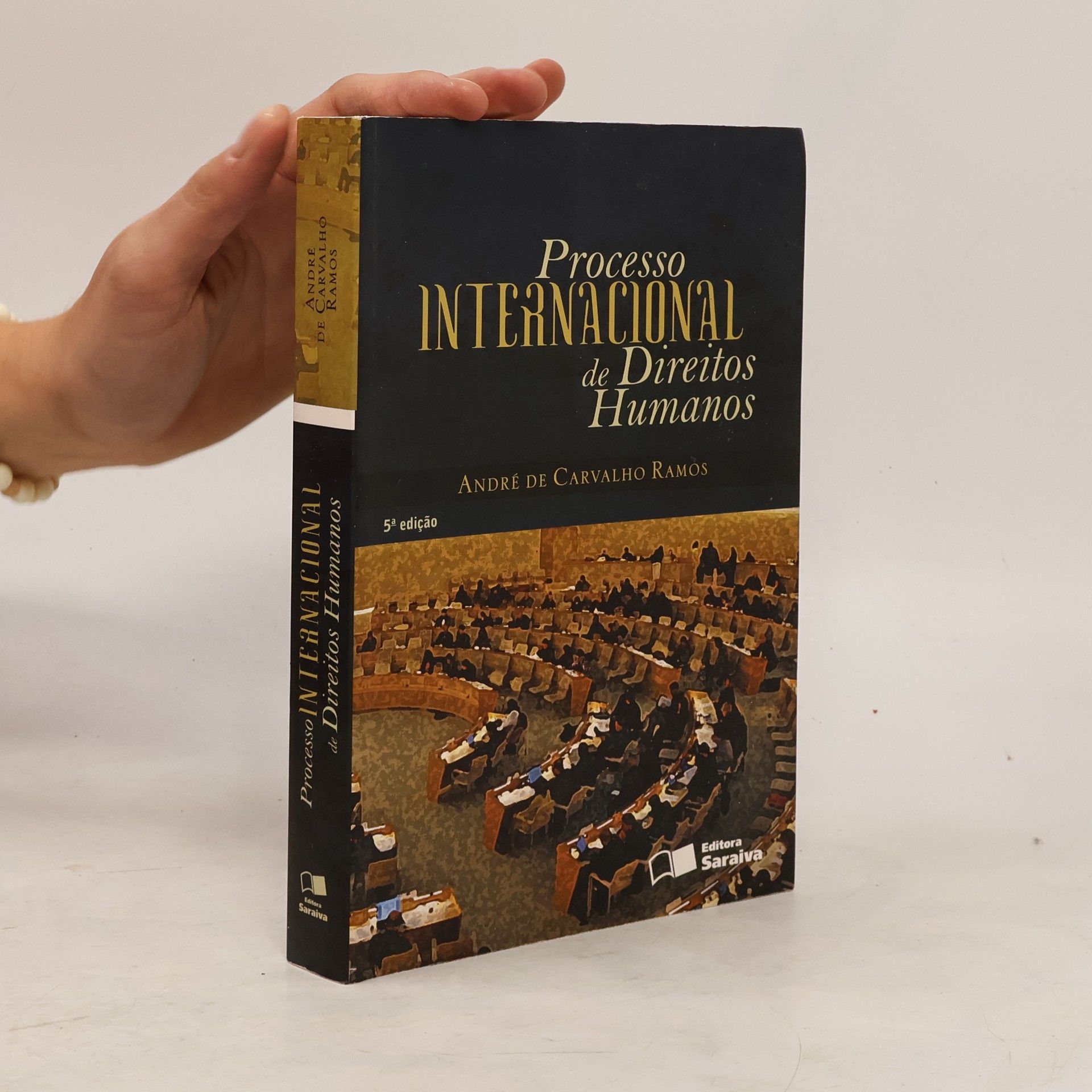 André de Carvalho Ramos Processo internacional de direitos humanos