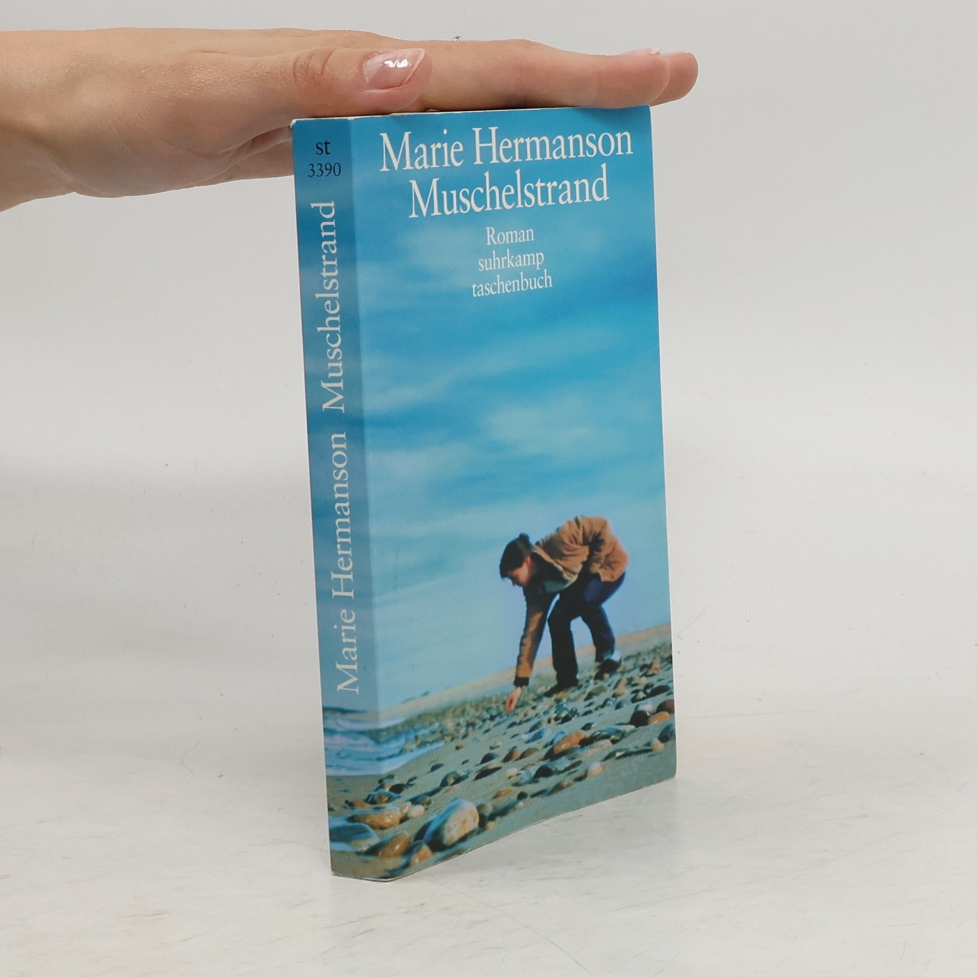 Marie Hermanson Muschelstrand