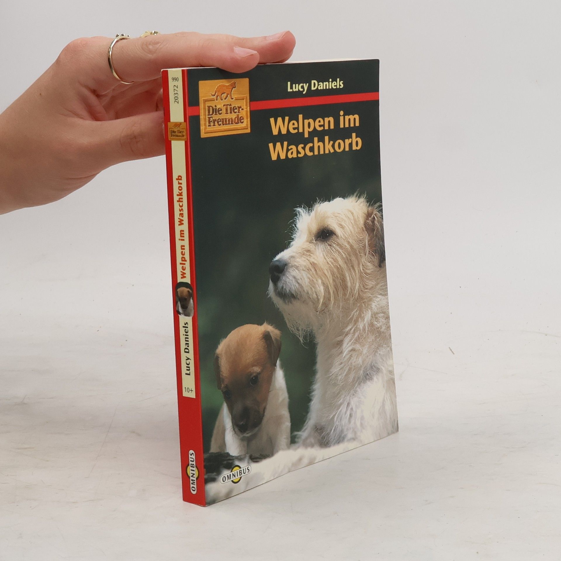 Lucy Daniels Die Tierfreunde, Welpen im Waschkorb. Aus d. Engl. v. Angelika Feilhauer