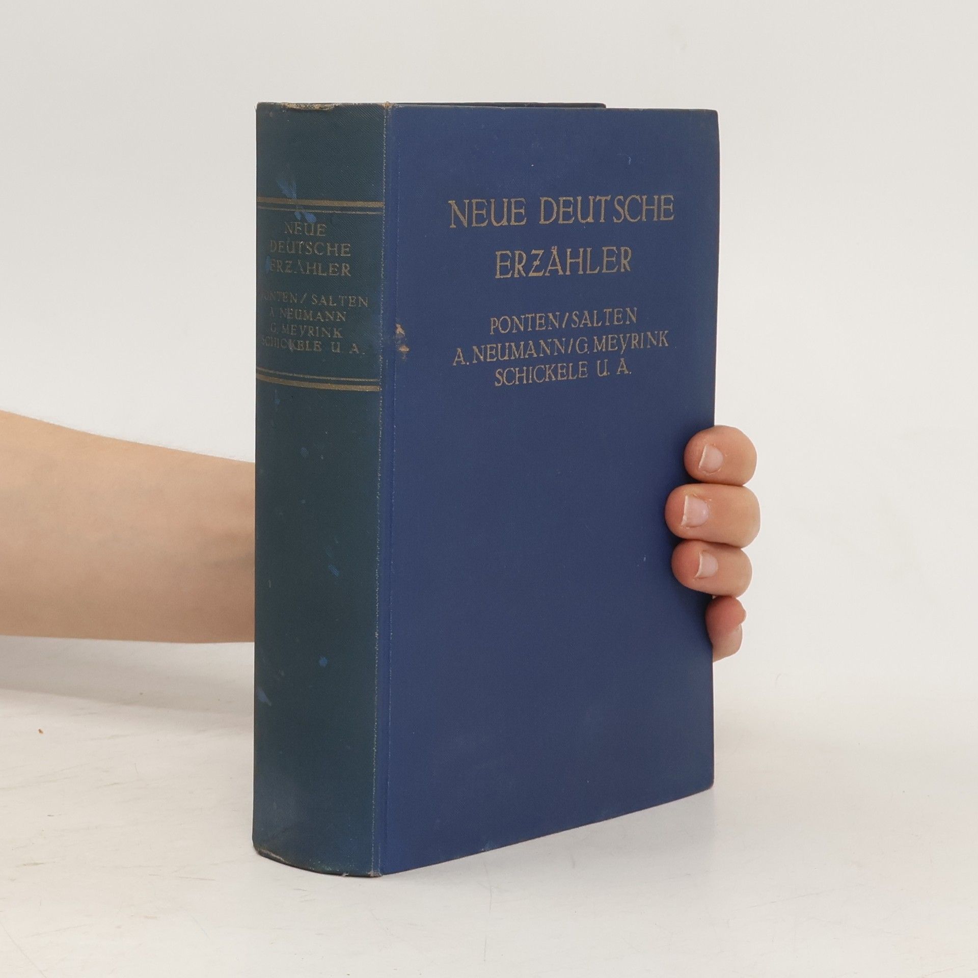 Kolektiv autorů Neue deutsche Erzähler